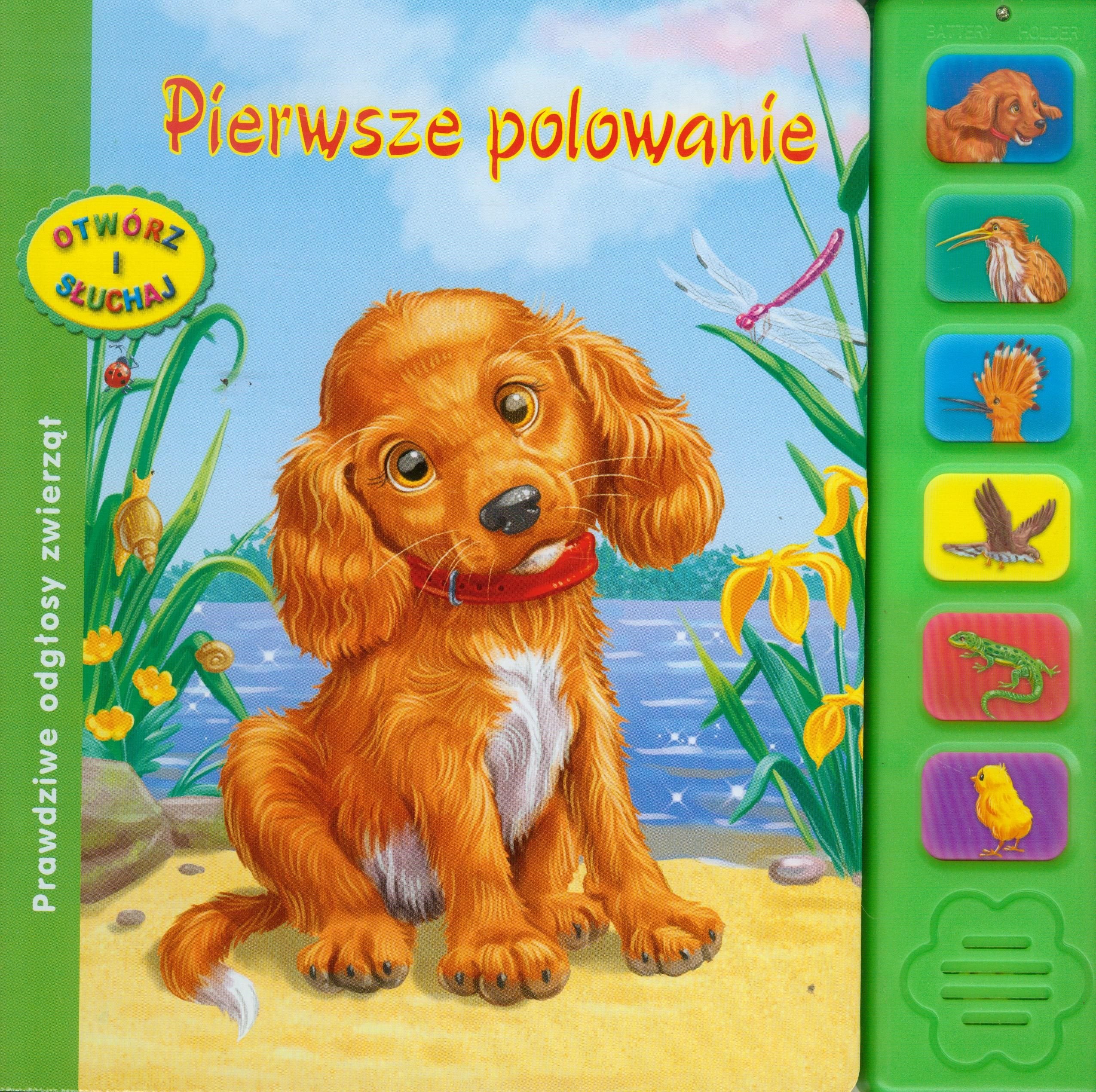 Pierwsze polowanie Otwórz i słuchaj: Prawdziwe odgłosy zwierząt. Książeczka dźwiękowa Books