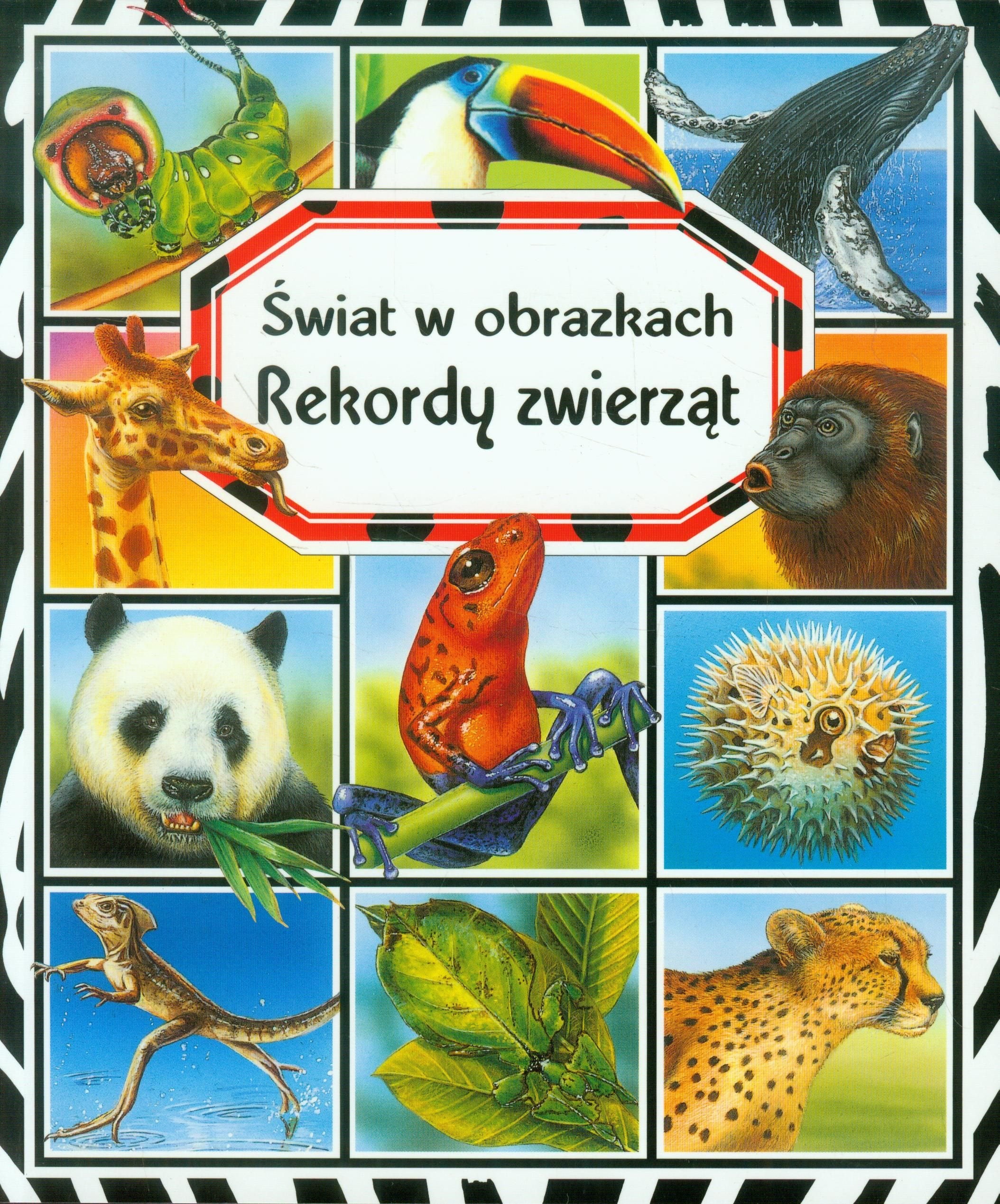 Rekordy zwierząt Świat w obrazkach book