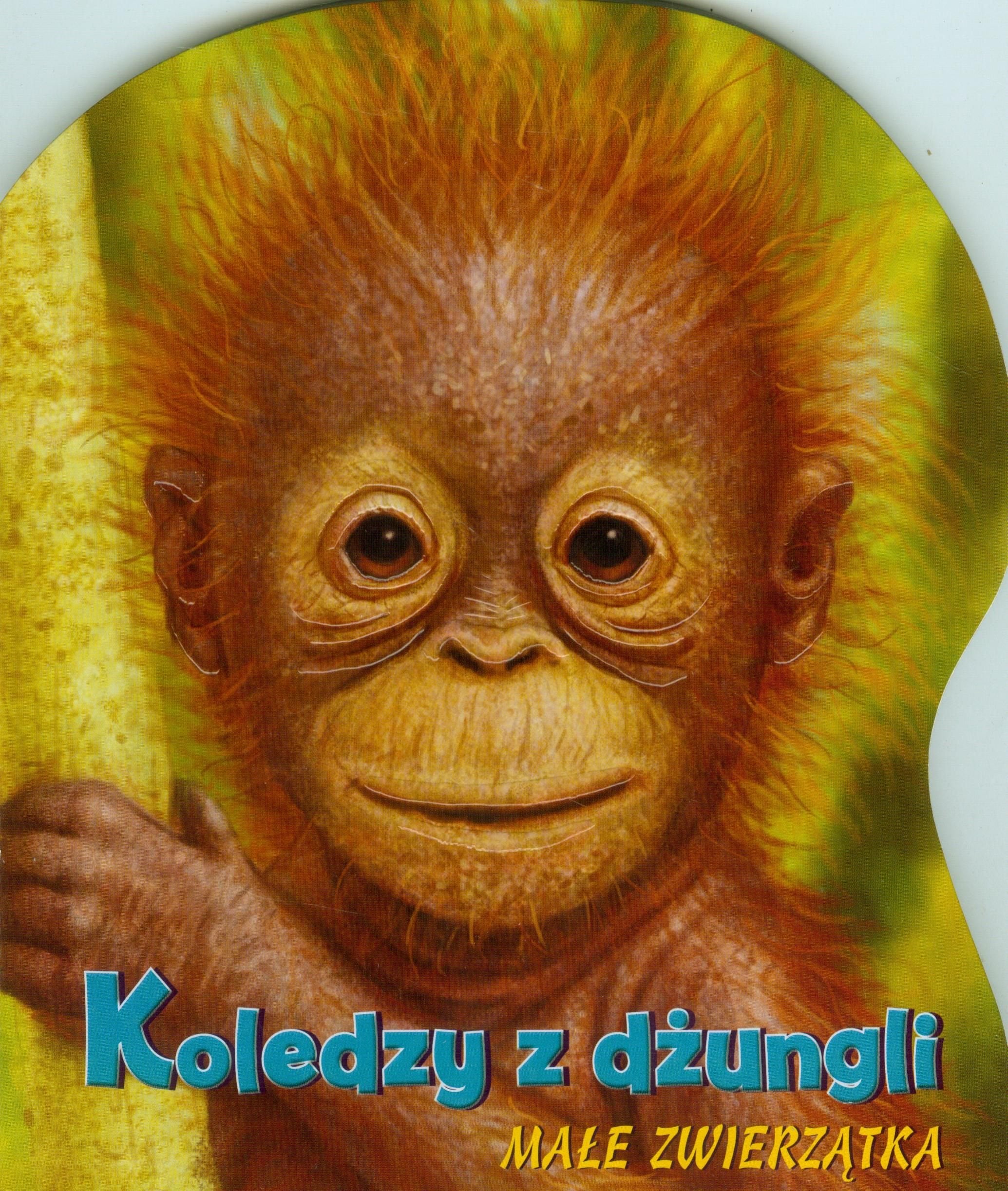 Koledzy z dżungli: Małe zwierzątka book