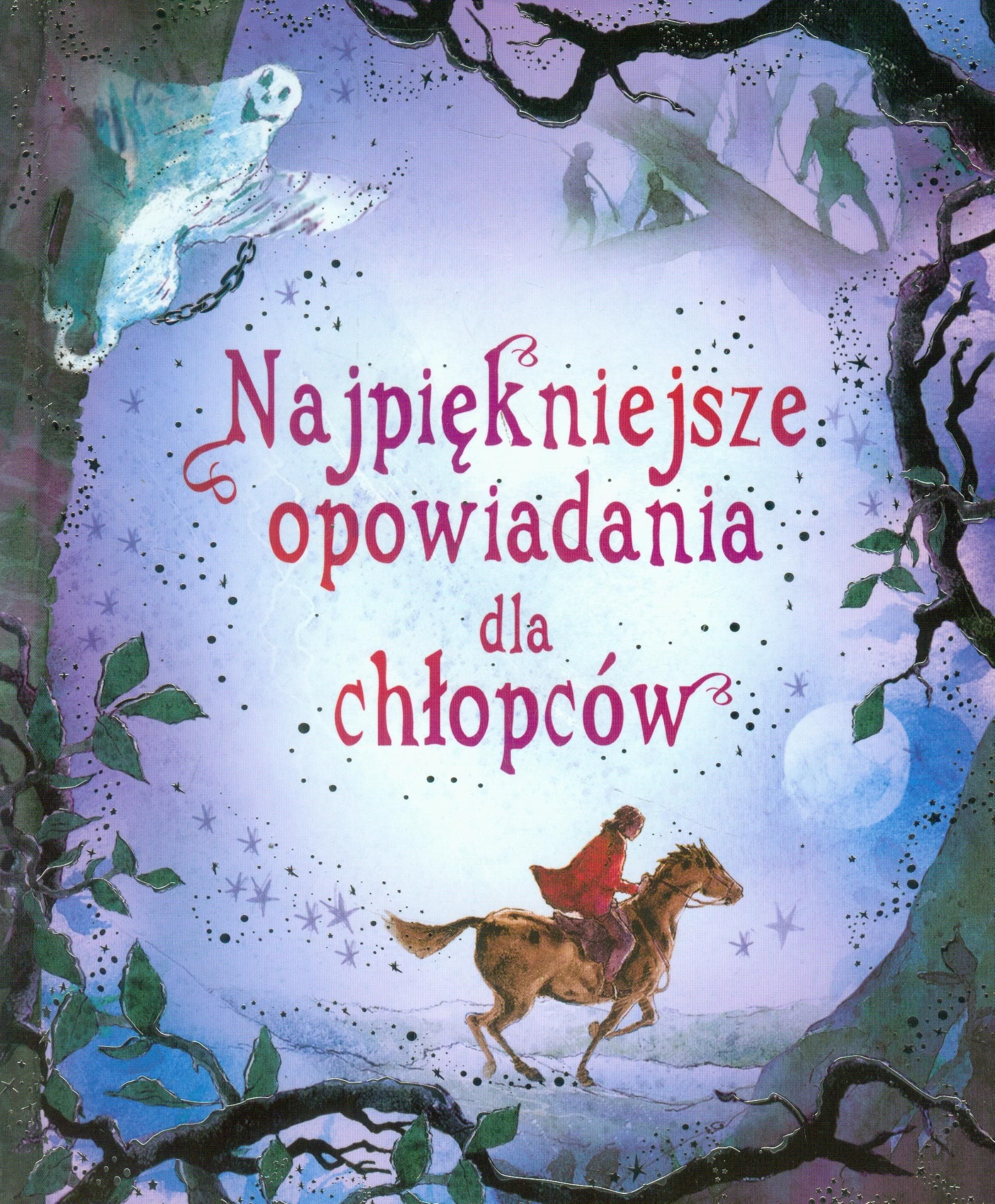 Najpiękniejsze opowiadania dla chłopców Books