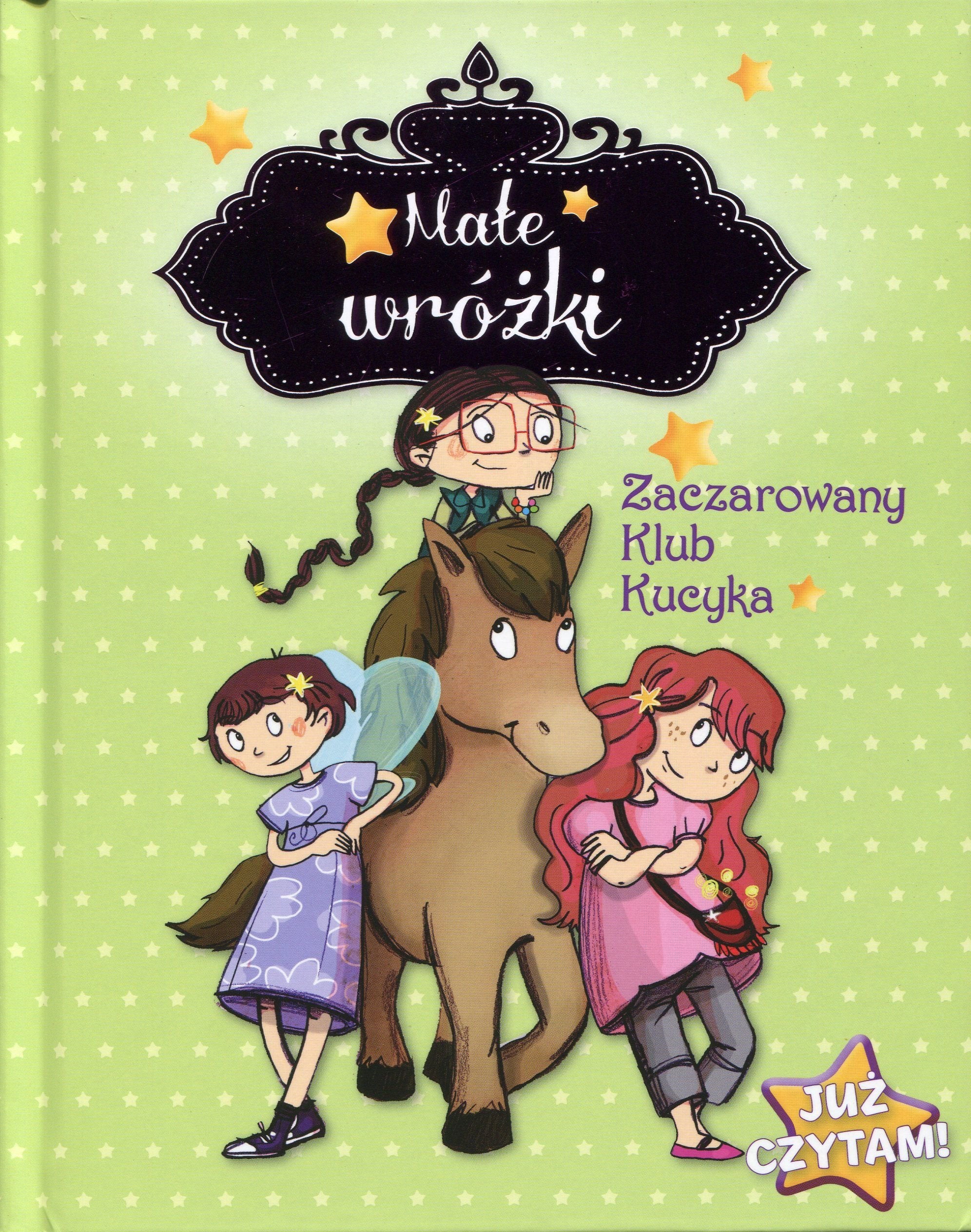 Małe wróżki Zaczarowany Klub Kucyka: Już czytam! book