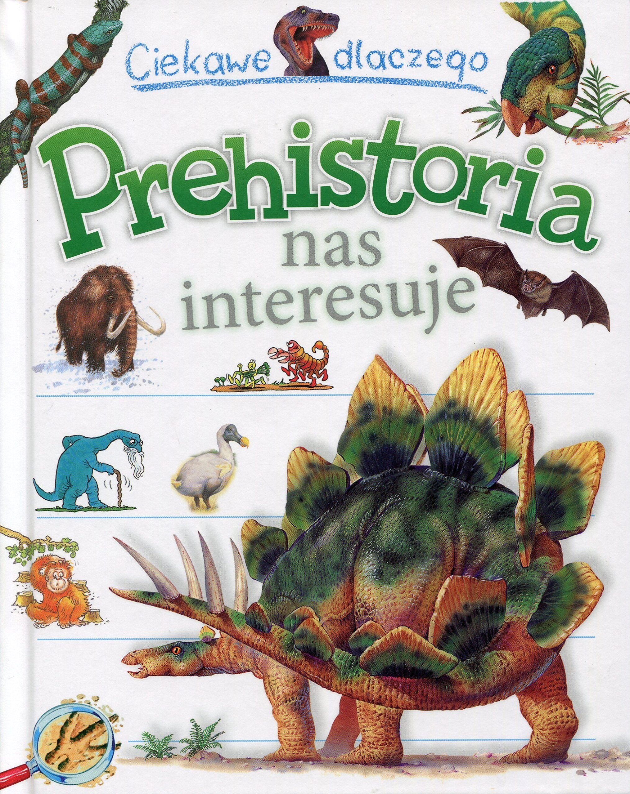 Ciekawe dlaczego Prehistoria nas interesuje book