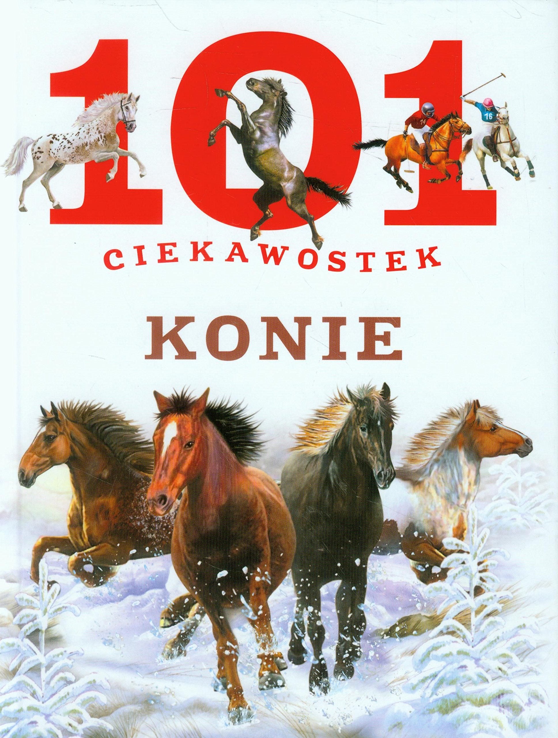 101 ciekawostek Konie Books