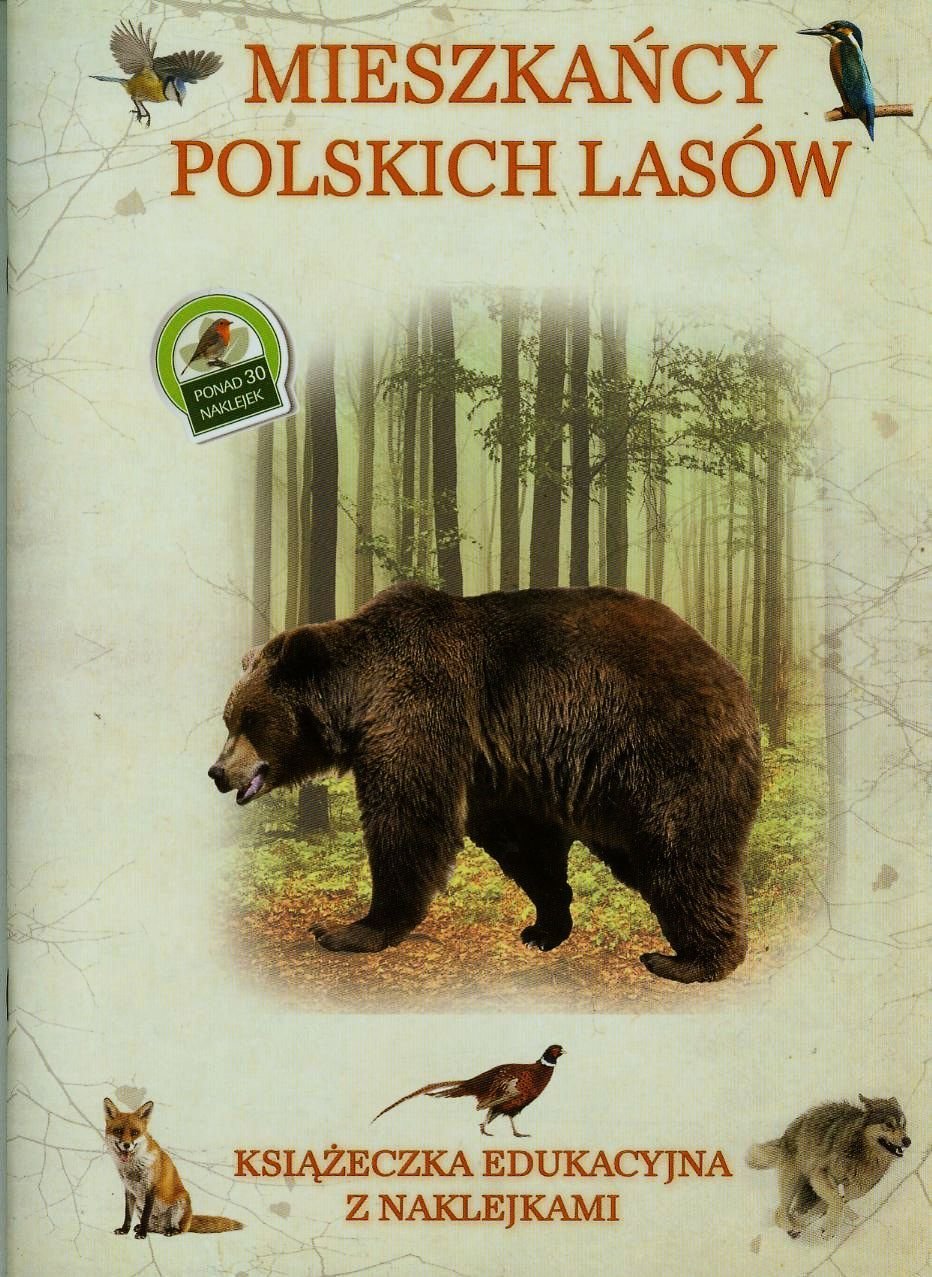 Mieszkańcy polskich lasów Książeczka edukacyjna z naklejkami Books