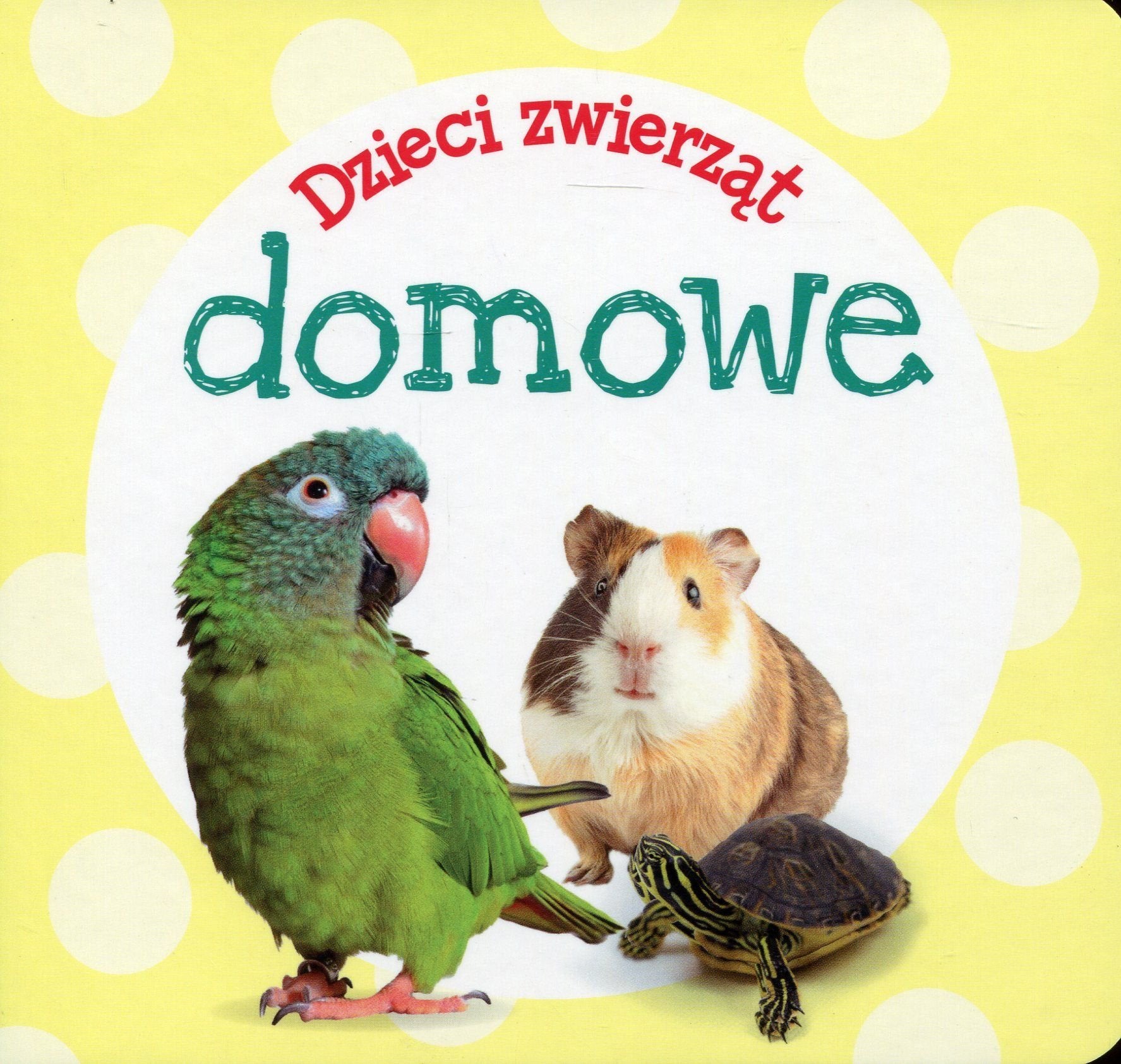 Dzieci zwierząt domowe Books