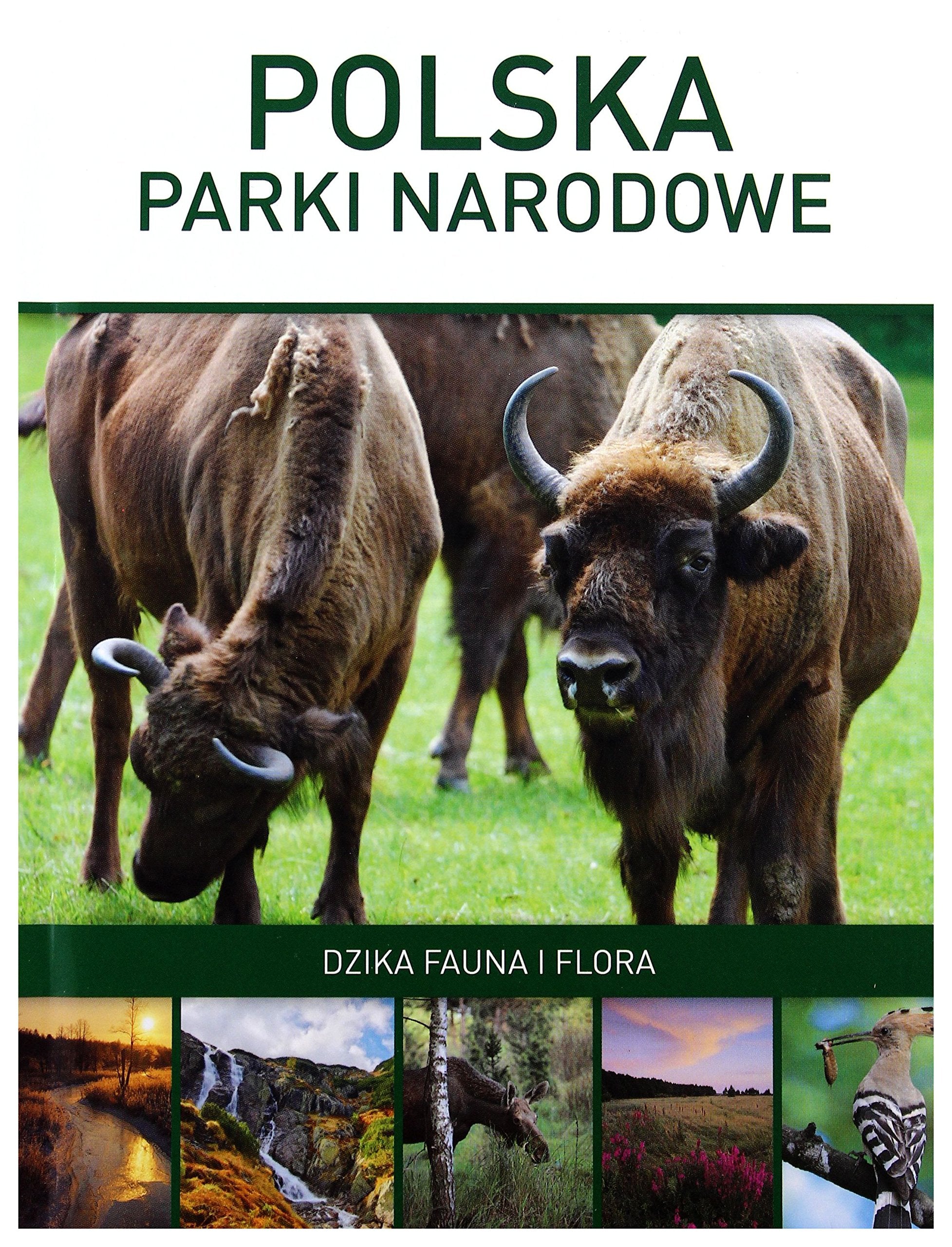 Polska: Parki narodowe. Dzika fauna i flora - Marcin Panek Books
