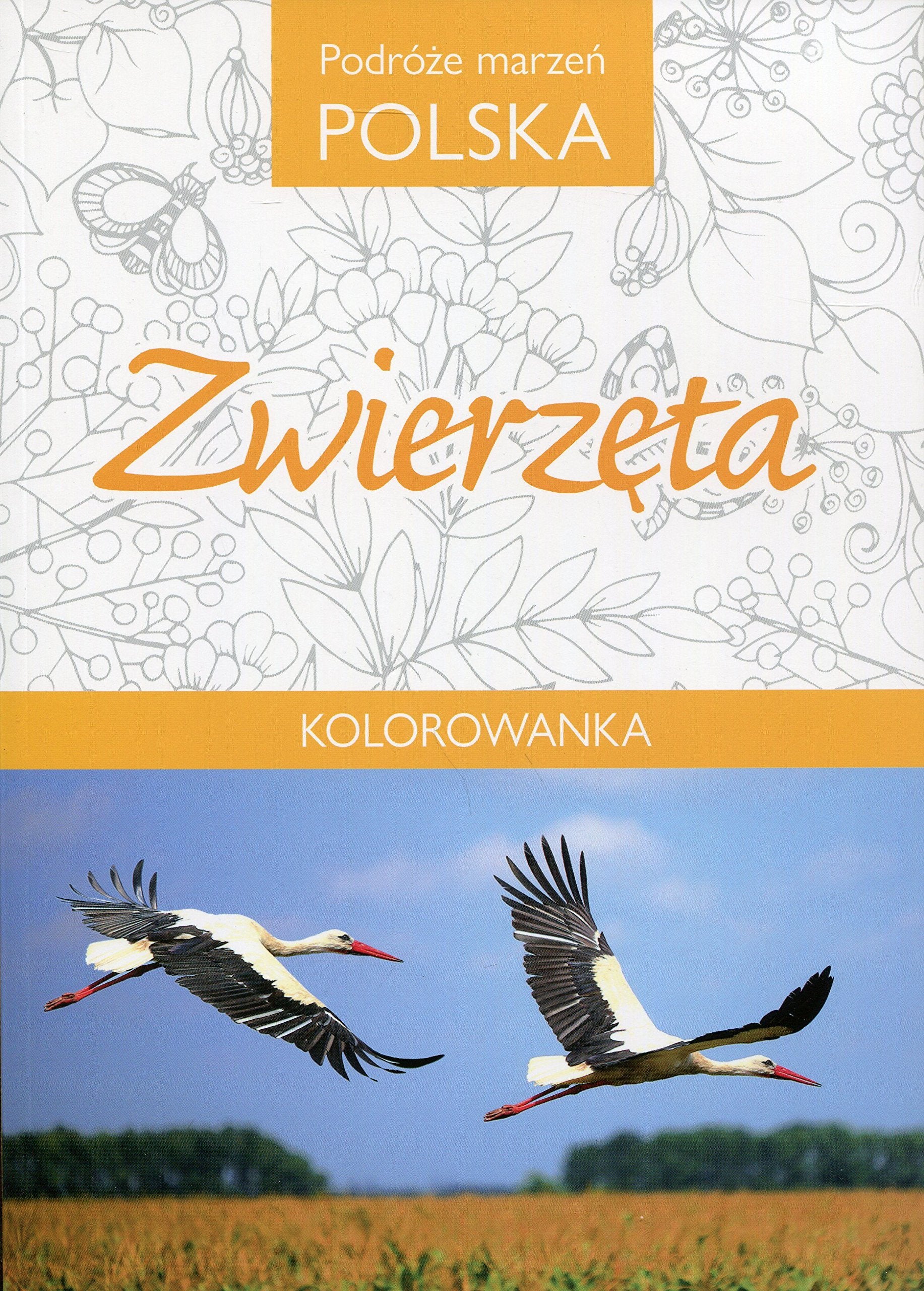 Podróże marzeń Polska Zwierzęta Kolorowanka Books