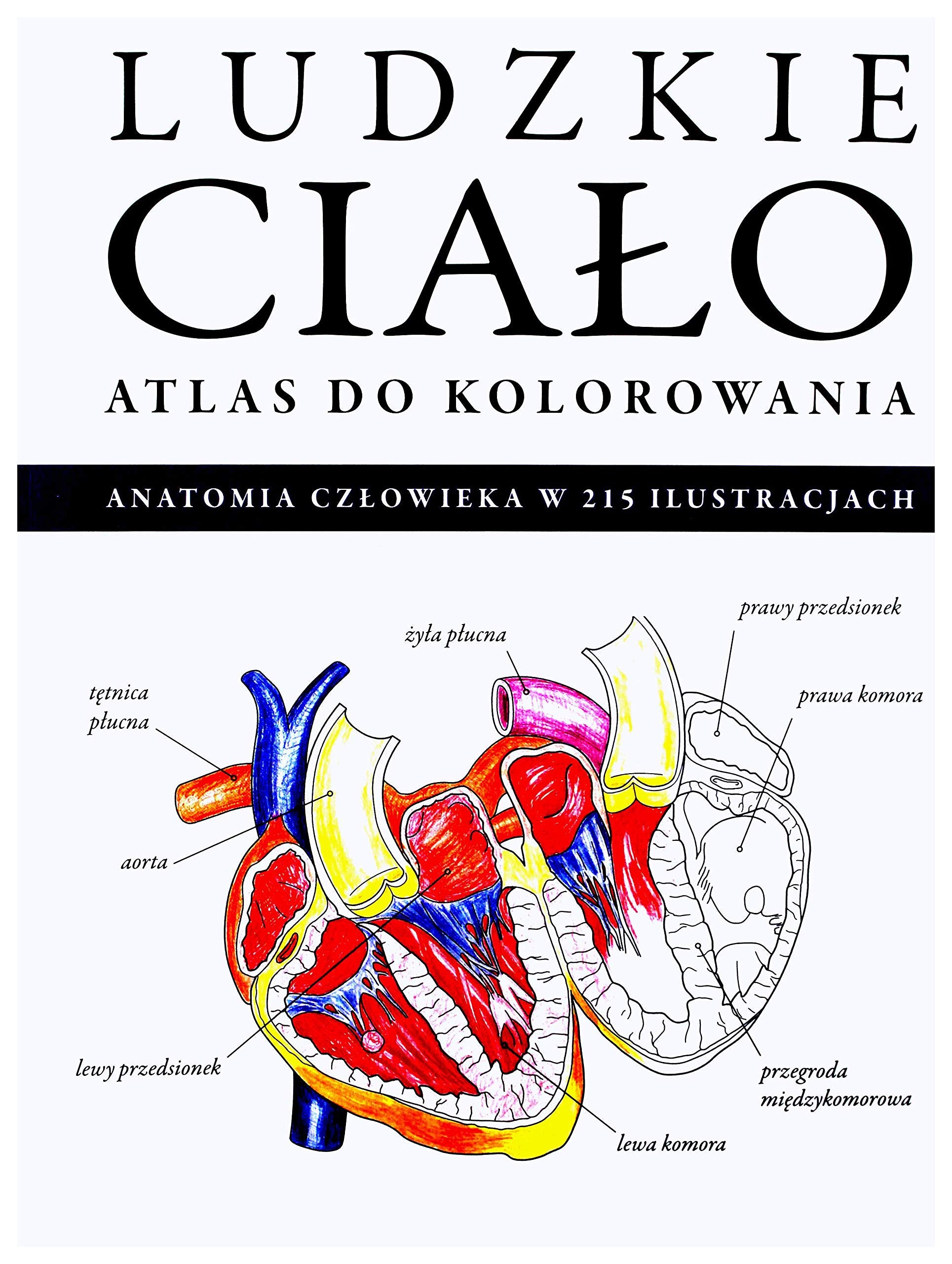 Atlas do kolorowania. Ludzkie ciaĹo book