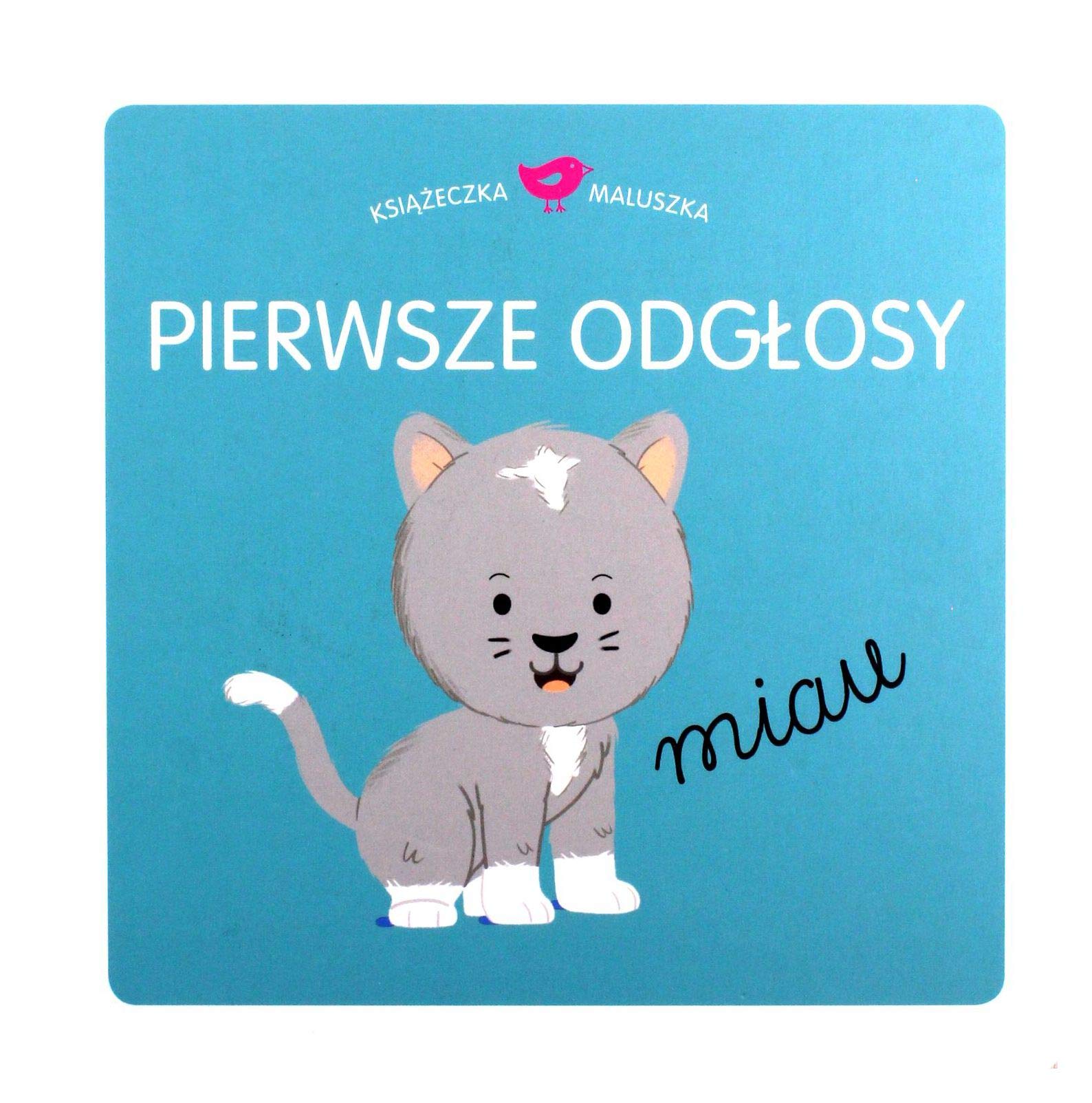 Książeczka maluszka Pierwsze odłosy book