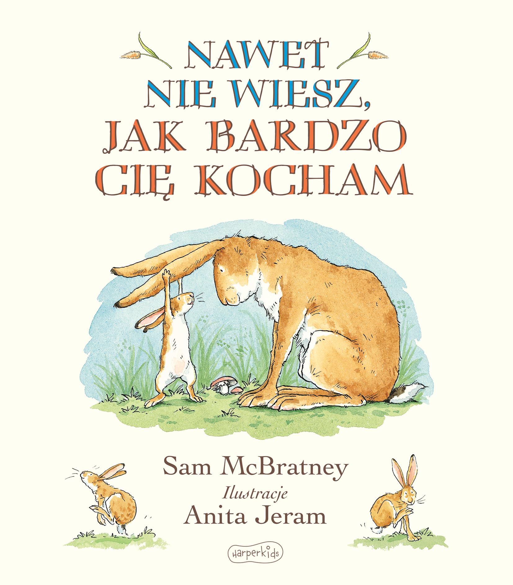 Nawet nie wiesz, jak bardzo Cię kocham book