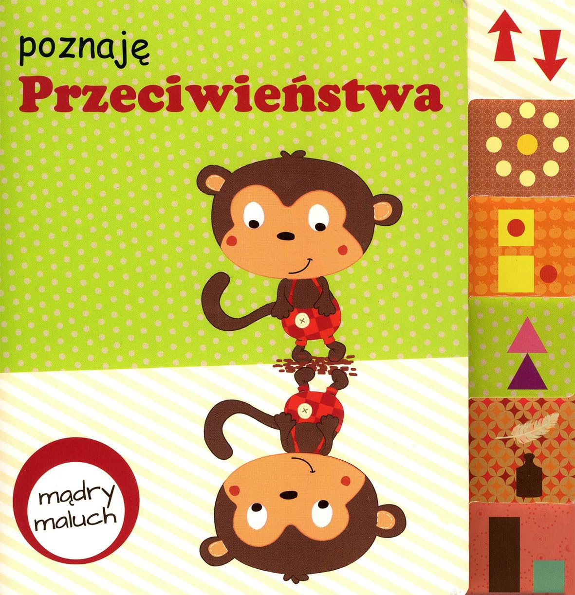 MÄdry maluch. PoznajÄ przeciwieĹstwa book