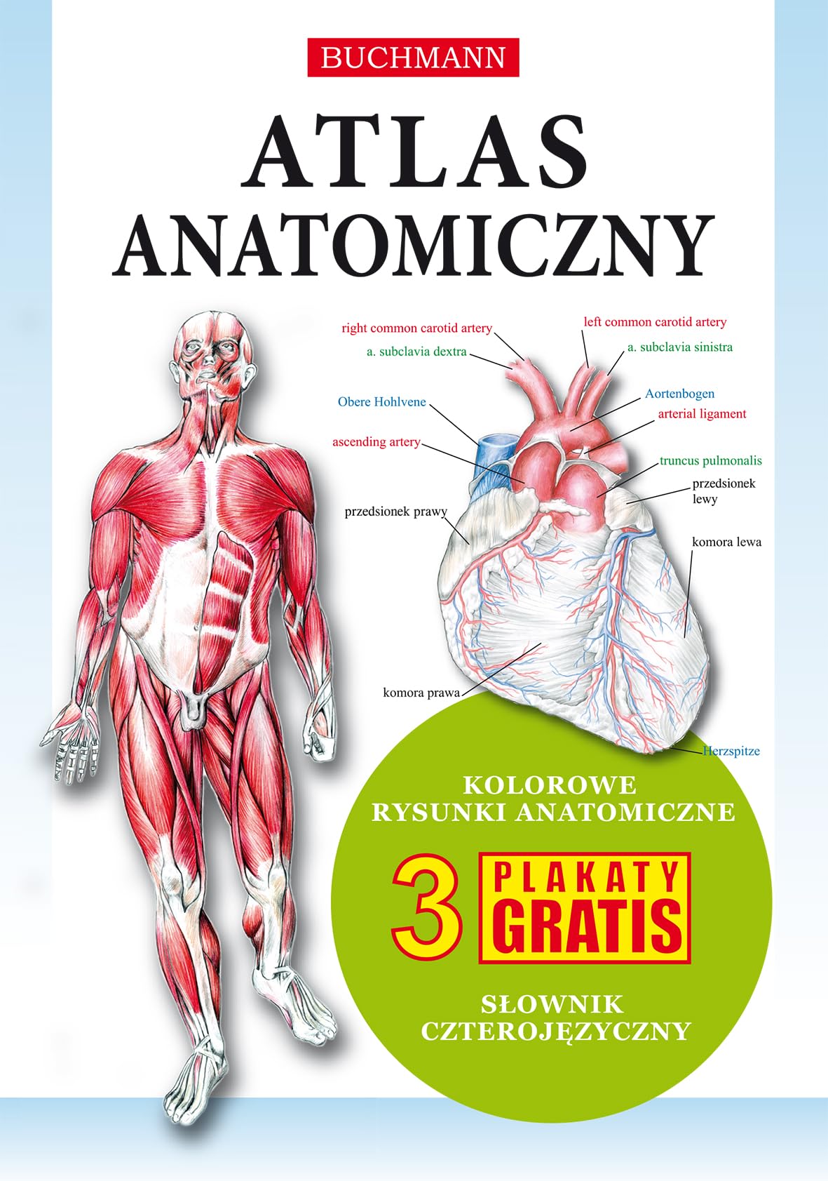 Atlas Anatomiczny book
