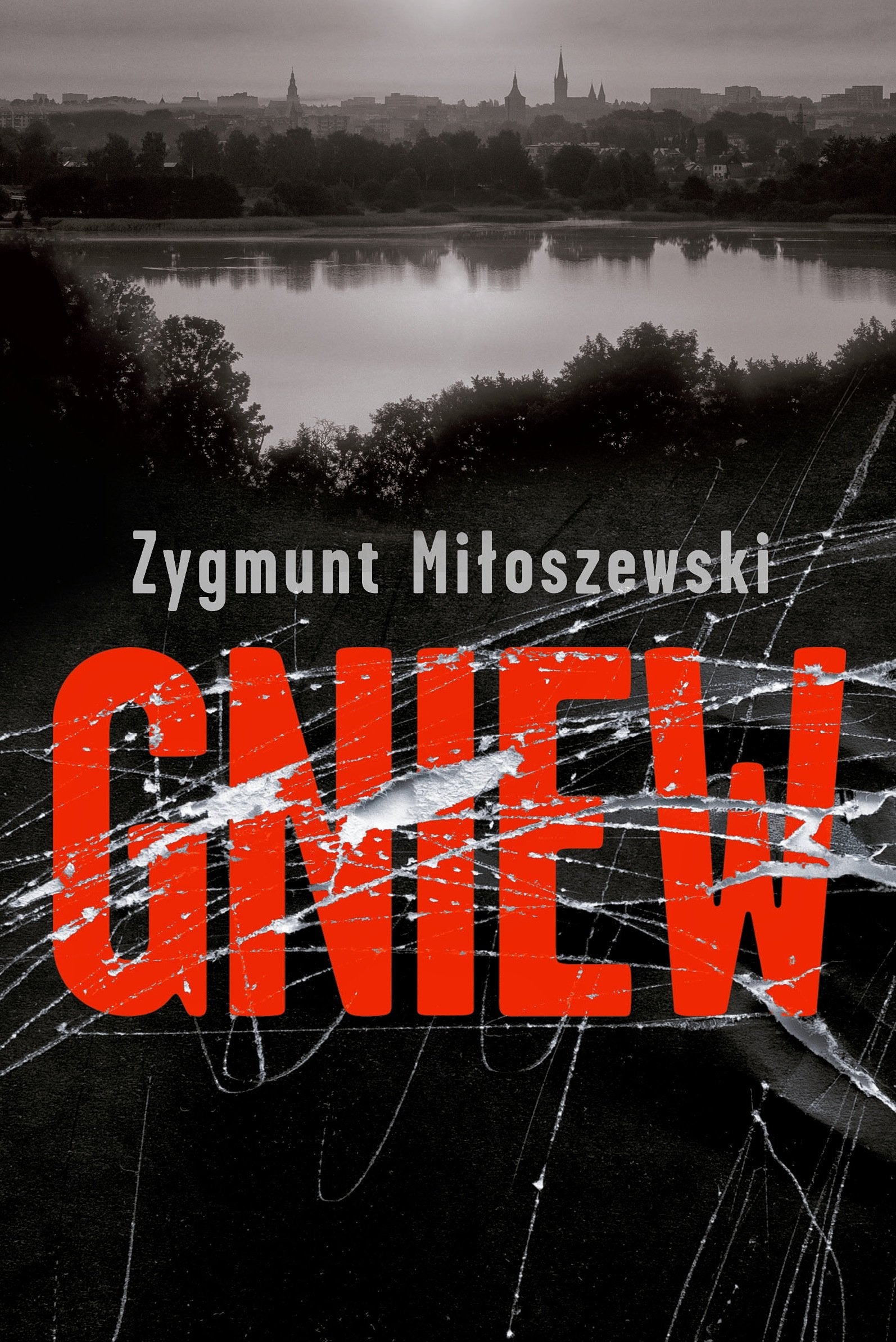 Gniew Contemporary literature Books