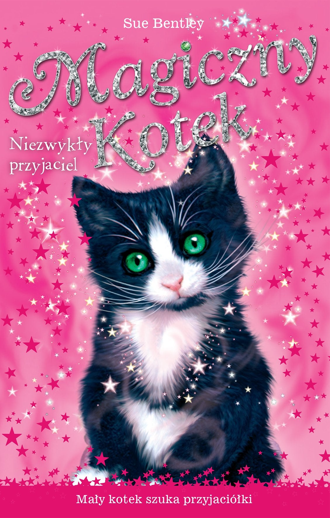 Magiczny Kotek Niezwykly przyjaciel book