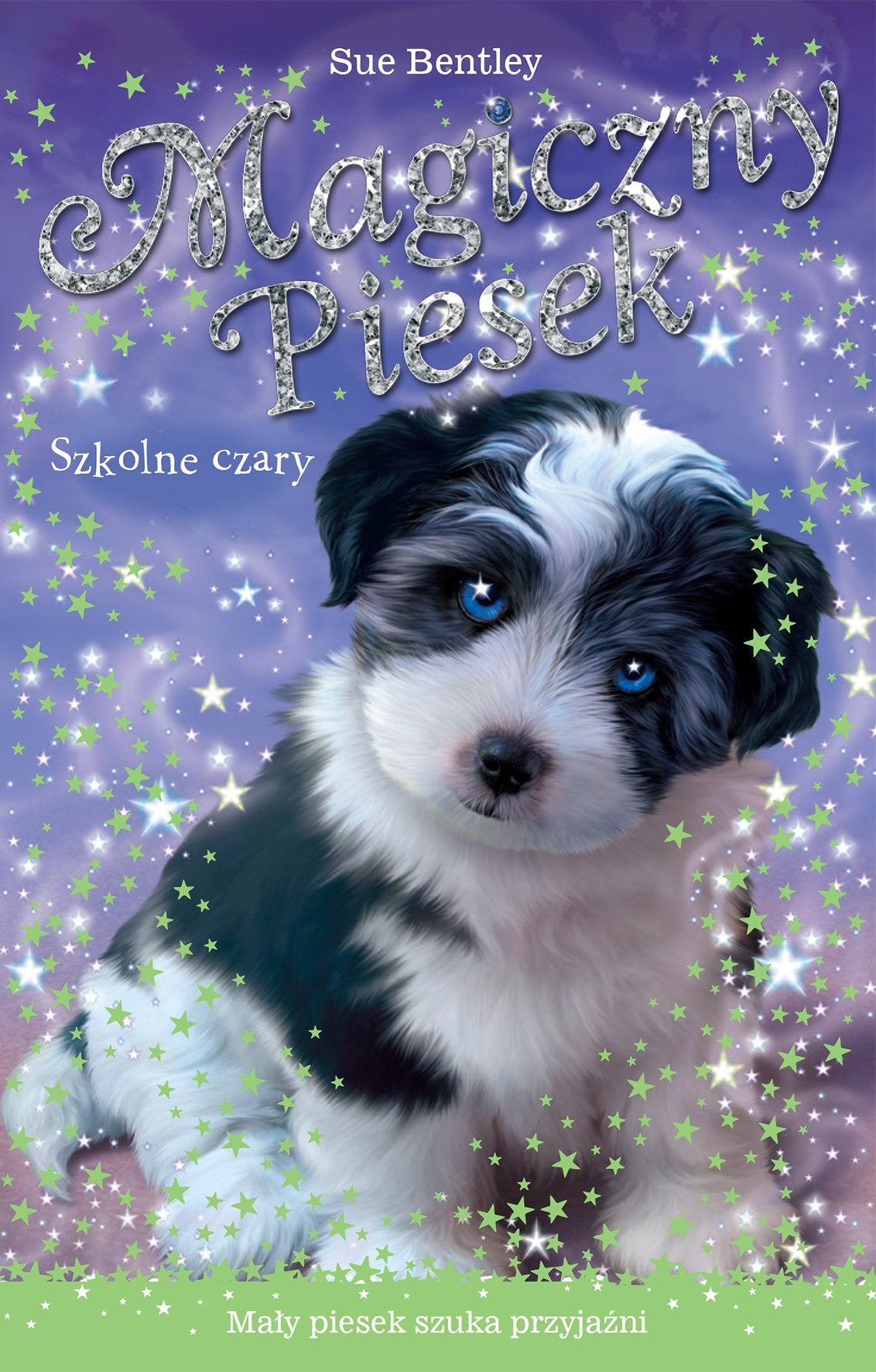 Magiczny Piesek Szkolne czary book