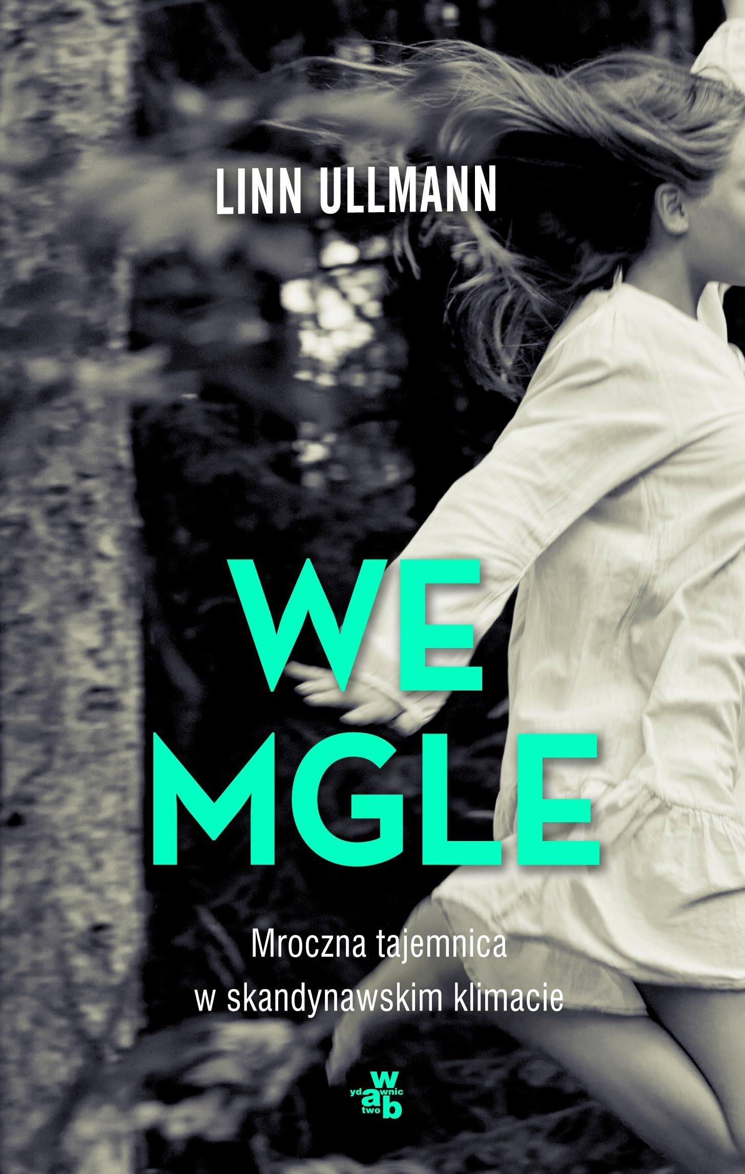 We mgle (DON KICHOT I SANCHO PANSA) Contemporary literature