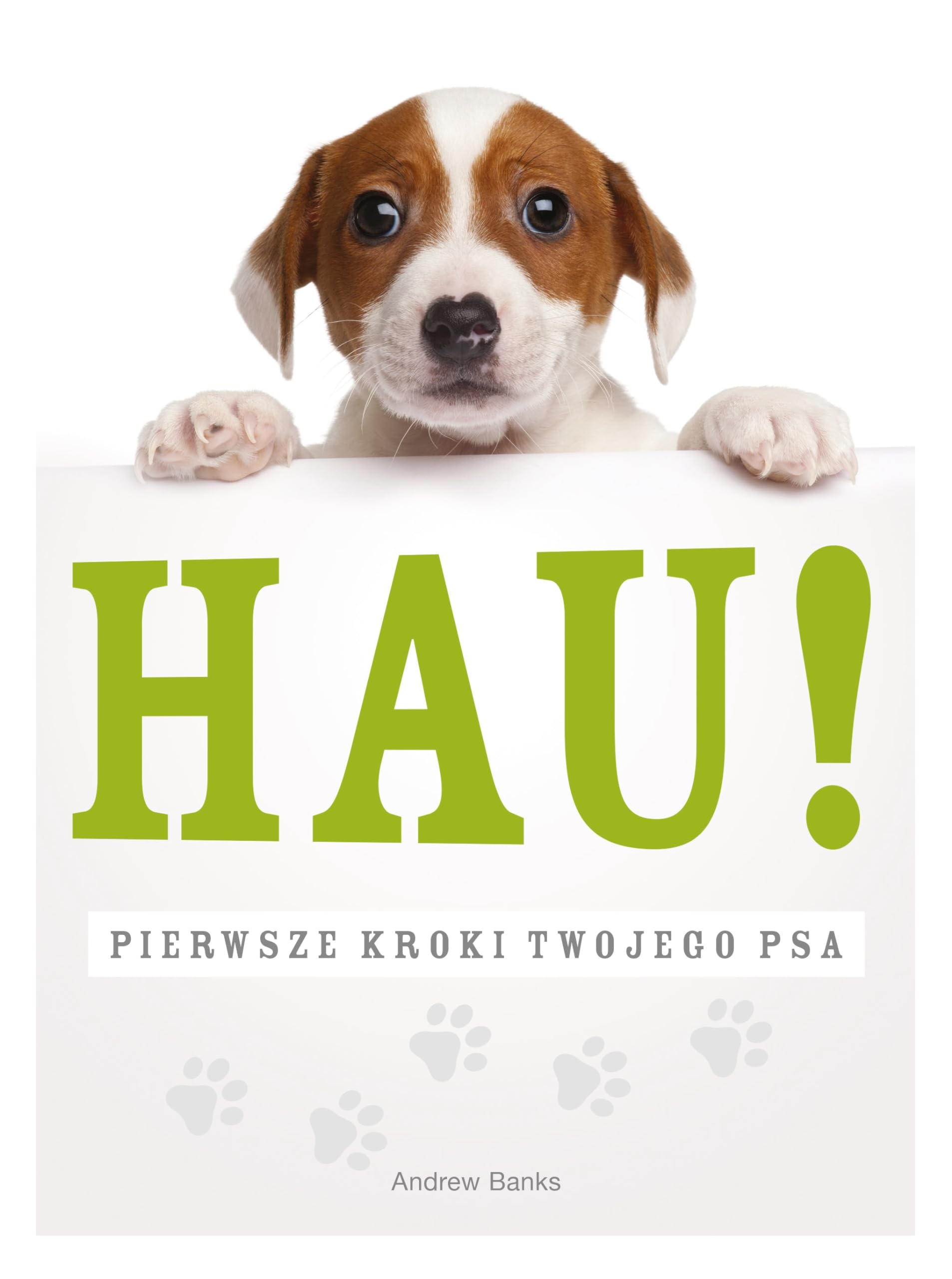 Hau! Pierwsze kroki twojego psa Pets