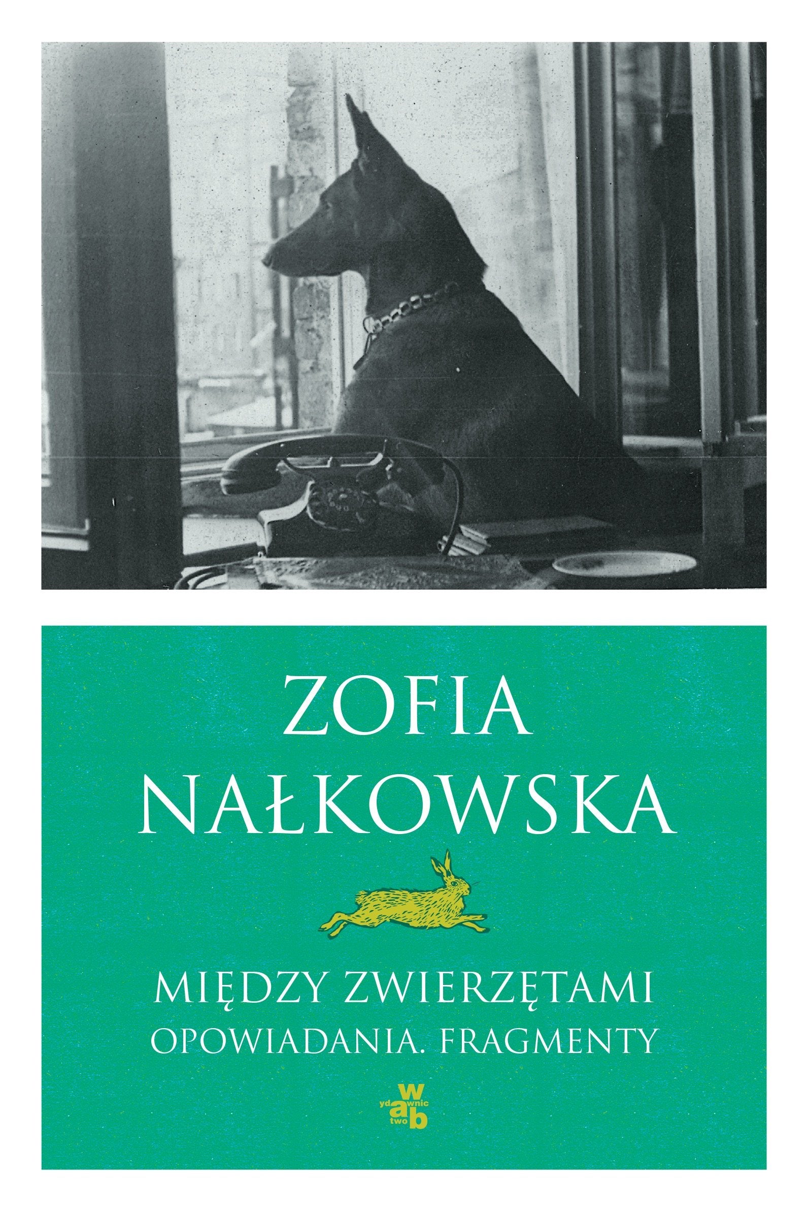 Miedzy zwierzetami book
