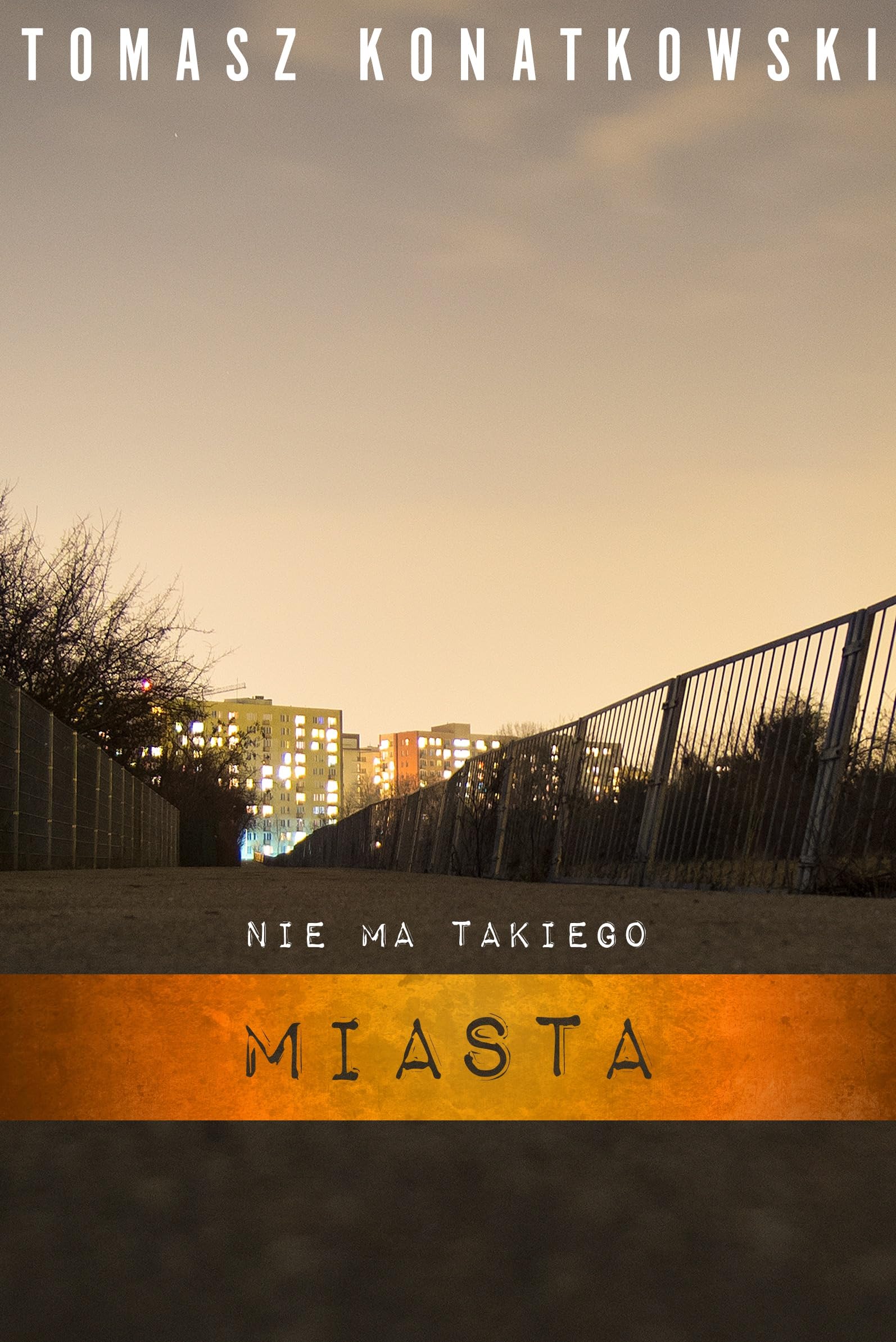 Nie ma takiego miasta book