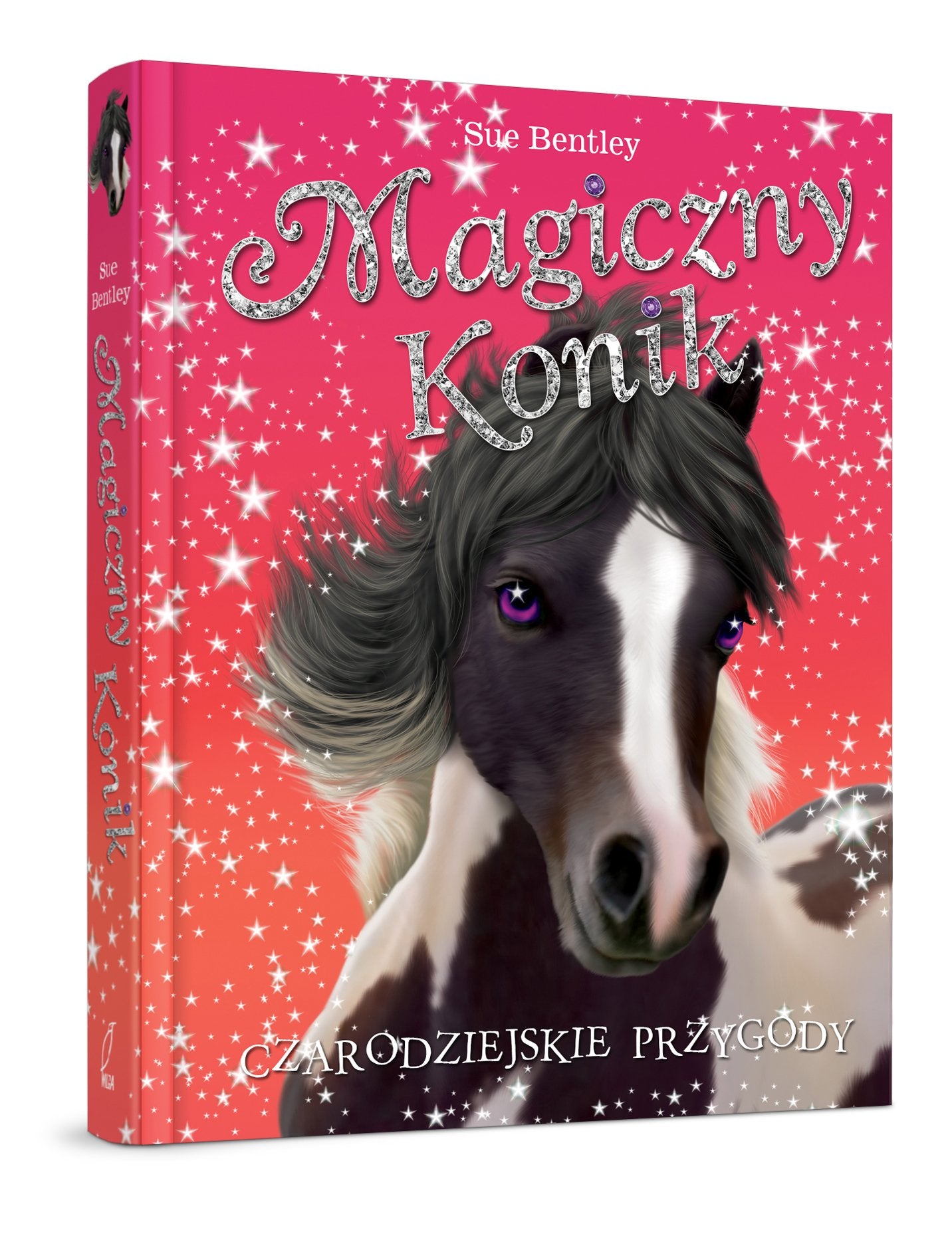 Magiczny konik Czarodziejskie przygody book