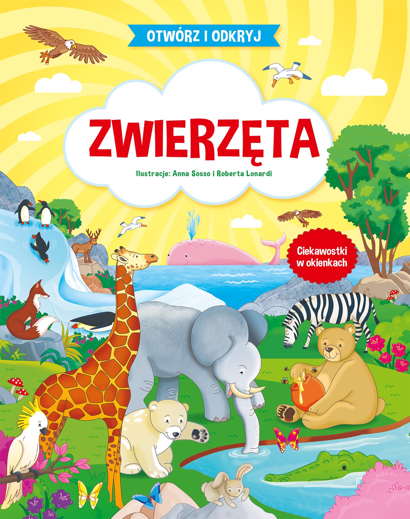 Otworz i odkryj Zwierzeta Study Guides