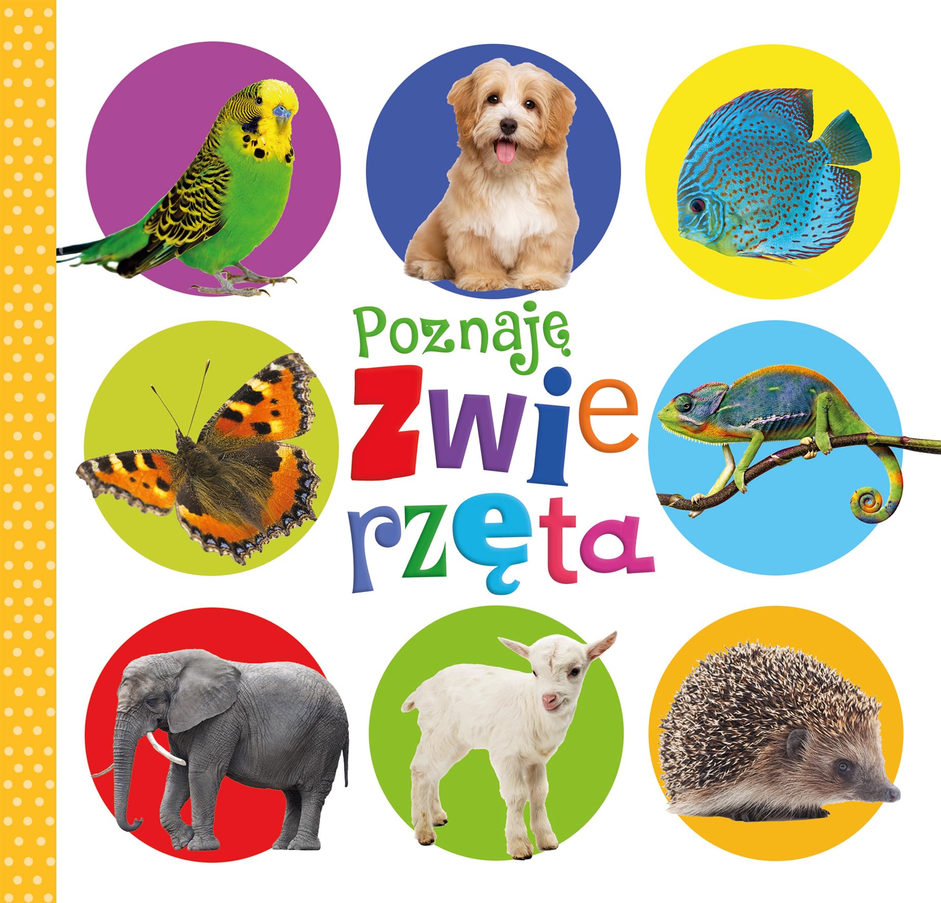 Poznaje zwierzeta Study Guides