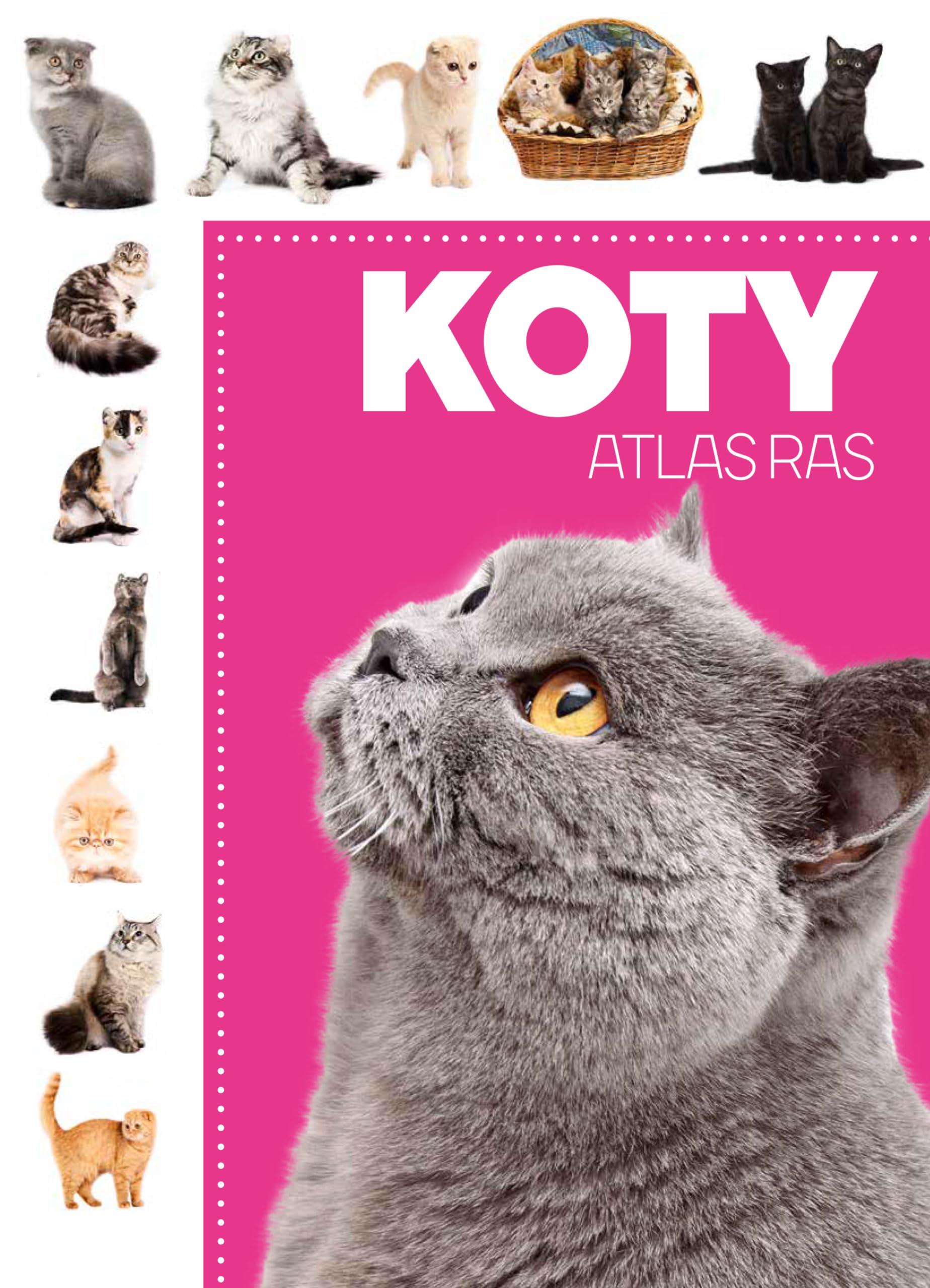 Koty Atlas ras Books