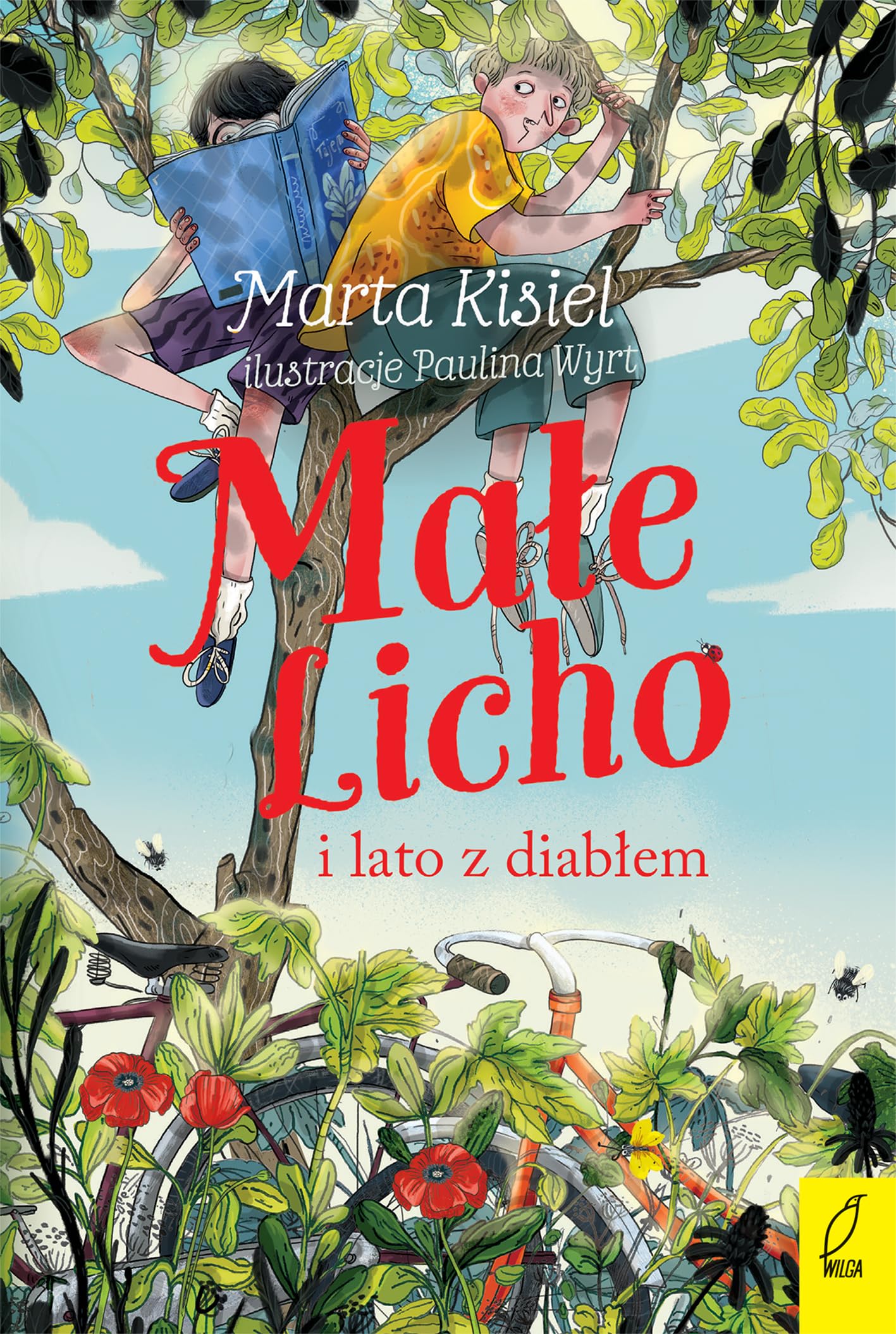 Małe Licho i lato z diabłem Books