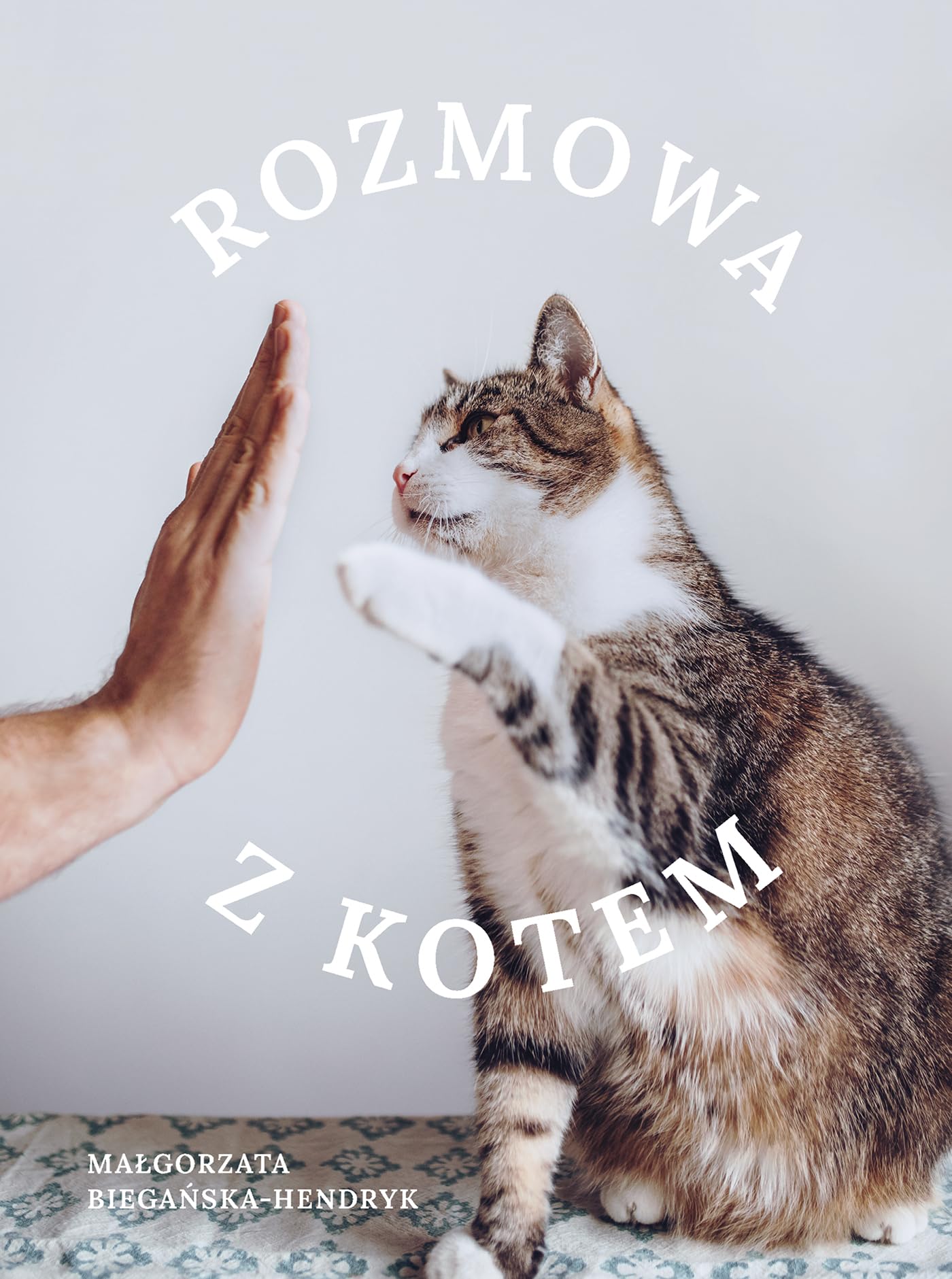 Rozmowa z kotem book