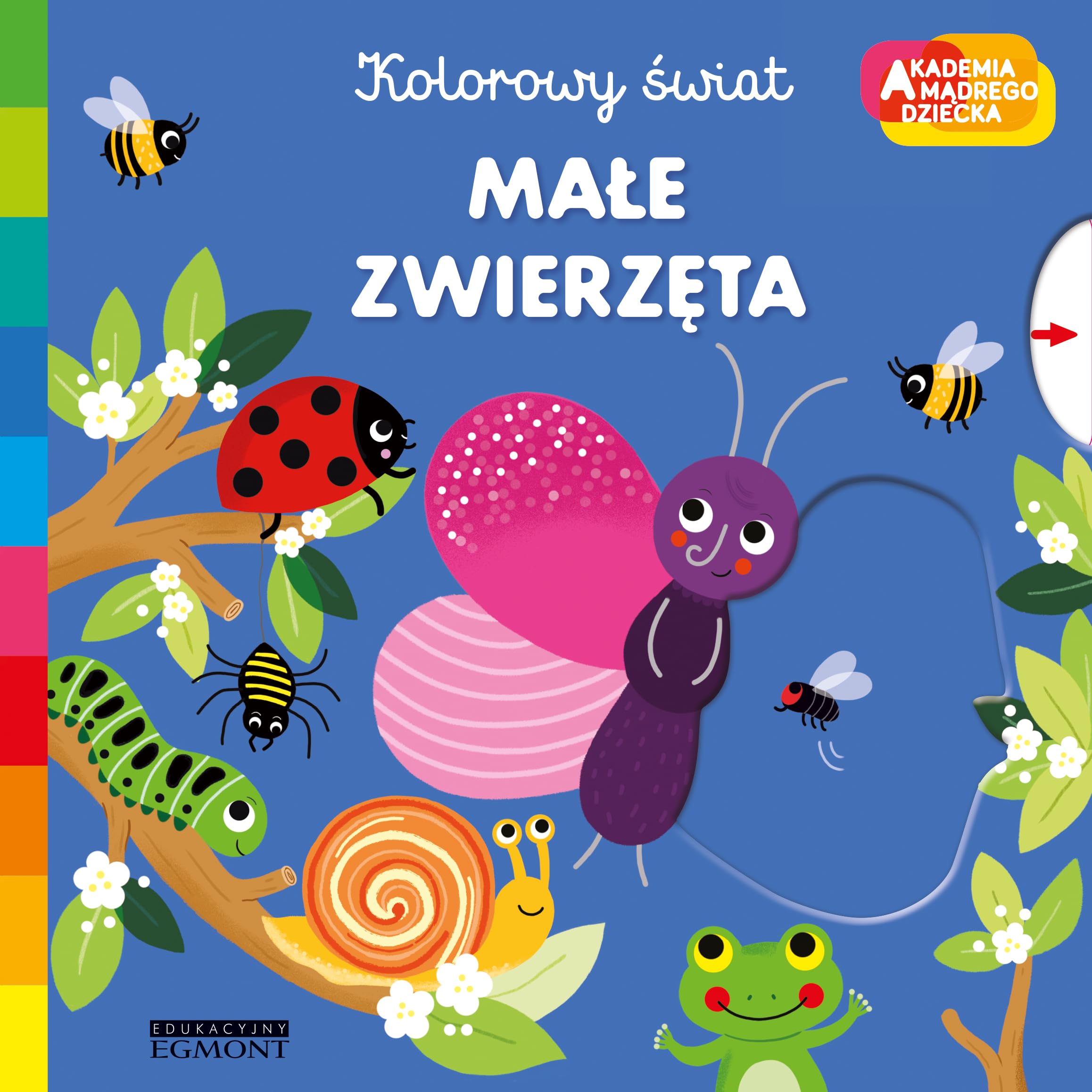 Akademia mÄdrego dziecka. MaĹe zwierzÄta. Kolorowy Ĺwiat - MĂŠlanie Combes Books