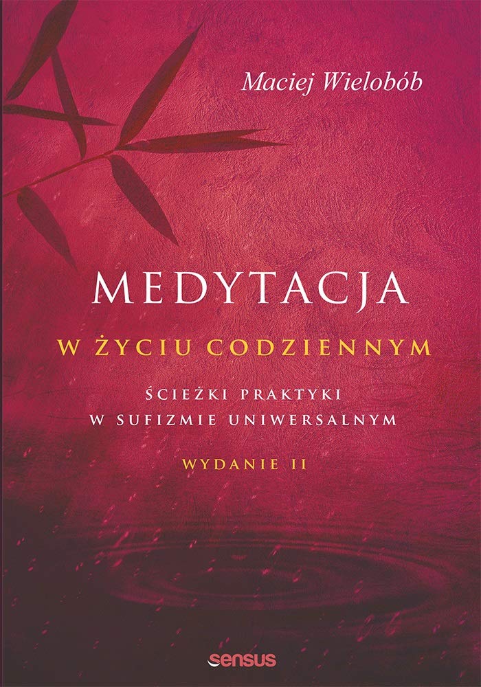 Medytacja w życiu codziennym Ścieżki praktyki w sufizmie uniwersalnym. Wydanie II Books