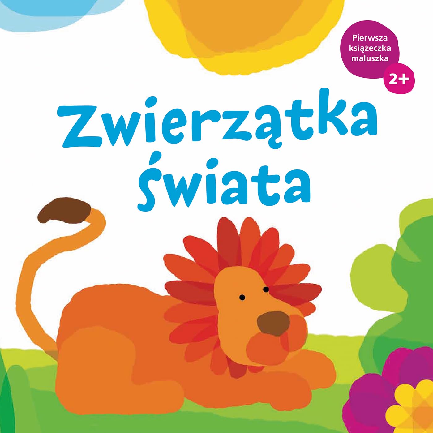 Zwierzatka swiata Study Guides