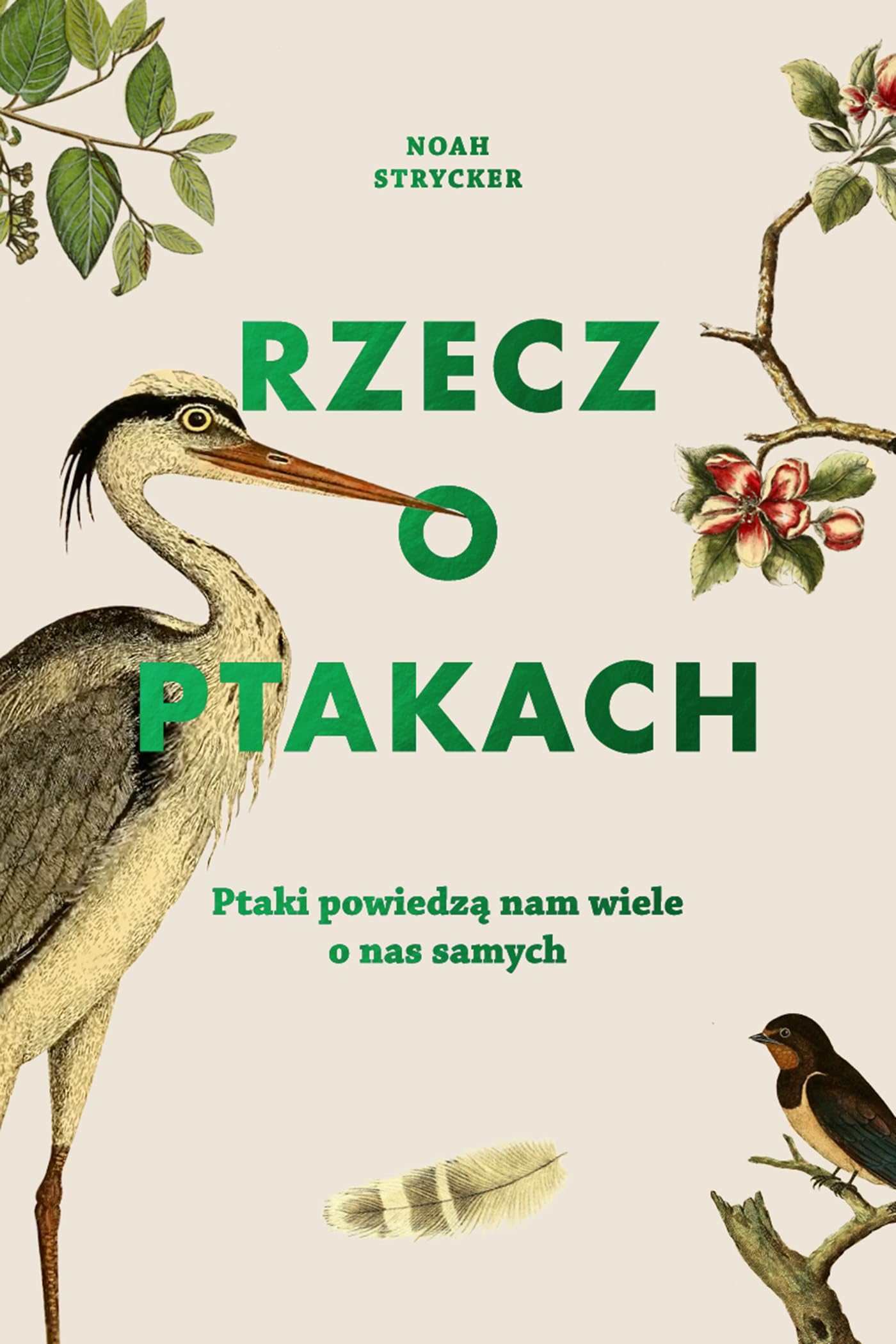Product Image: Rzecz o ptakach