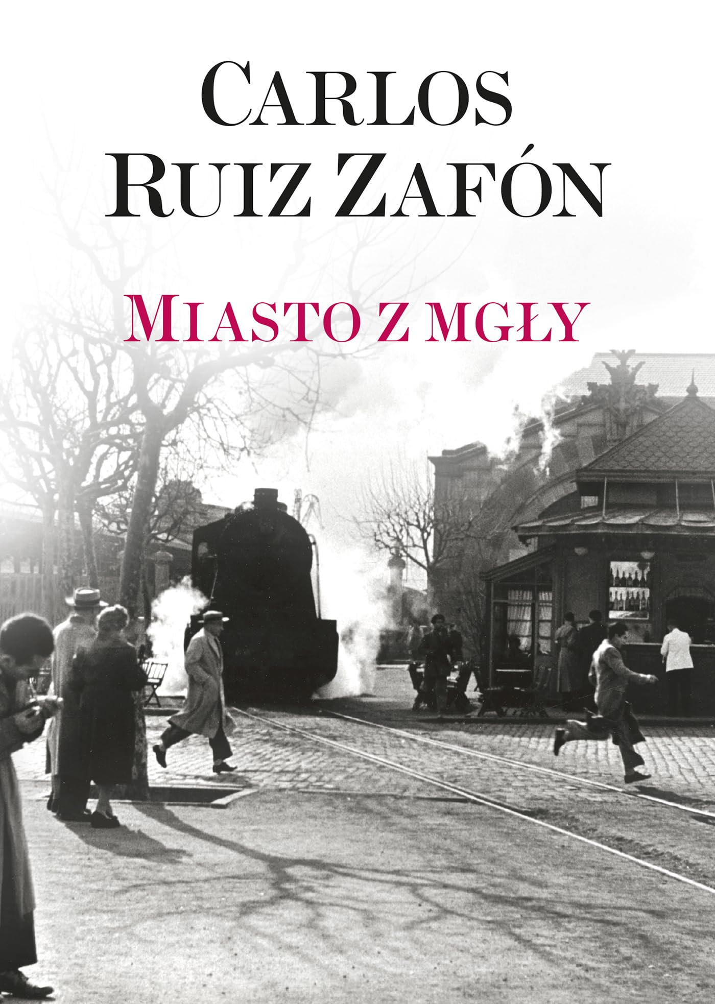 Miasto z mgły book