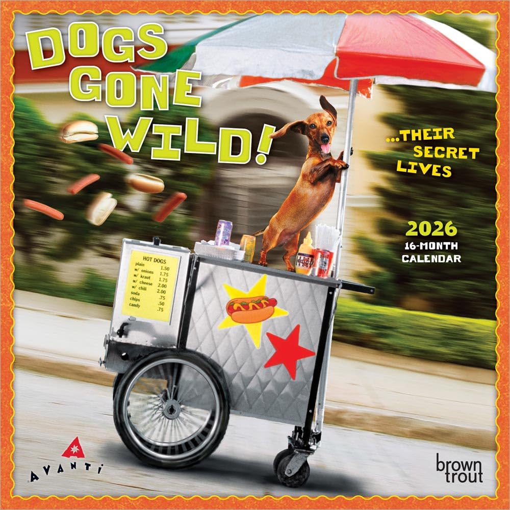 Avanti Dogs Gone Wild OFFICIAL | 2026 7 x 14 Inch (Hanging) Monthly Mini Wall Calendar | BrownTrout | Canine Pet Humor Leisure, Home & Garden