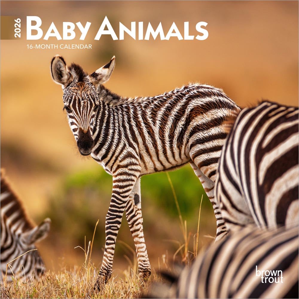Baby Animals | 2026 7 x 14 Inch (Hanging) Monthly Mini Wall Calendar | BrownTrout | Domestic Pets Chicken Small Cute Mathematics