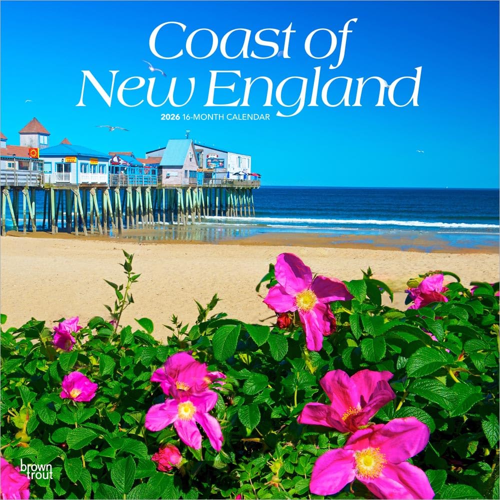 Coast of New England | 2026 12 x 24 Inch (Hanging) Monthly Square Wall Calendar | Plastic-Free | BrownTrout | USA United States of America Scenic Nature Ocean Sea Coast Leisure, Home & Garden