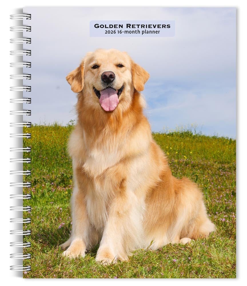 Golden Retrievers | 2026 6 x 7.75 Inch Spiral-Bound Wire-O Weekly Engagement Planner Calendar | New Full-Color Image Every Week | BrownTrout | Animals Dog Breeds Pets Pets