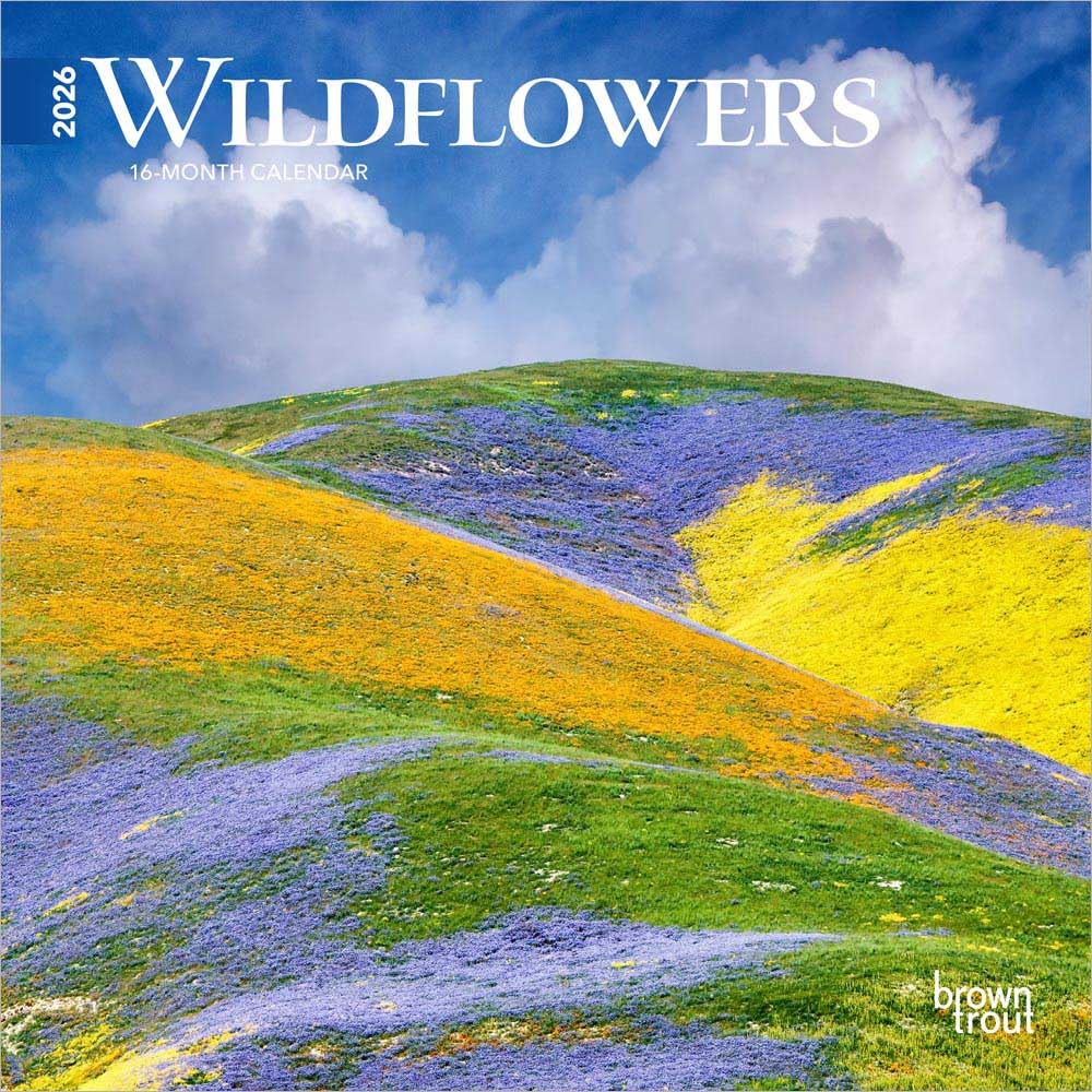 Wildflowers | 2026 7 x 14 Inch (Hanging) Monthly Mini Wall Calendar | BrownTrout | Flower Outdoor Plant Garden & Plants