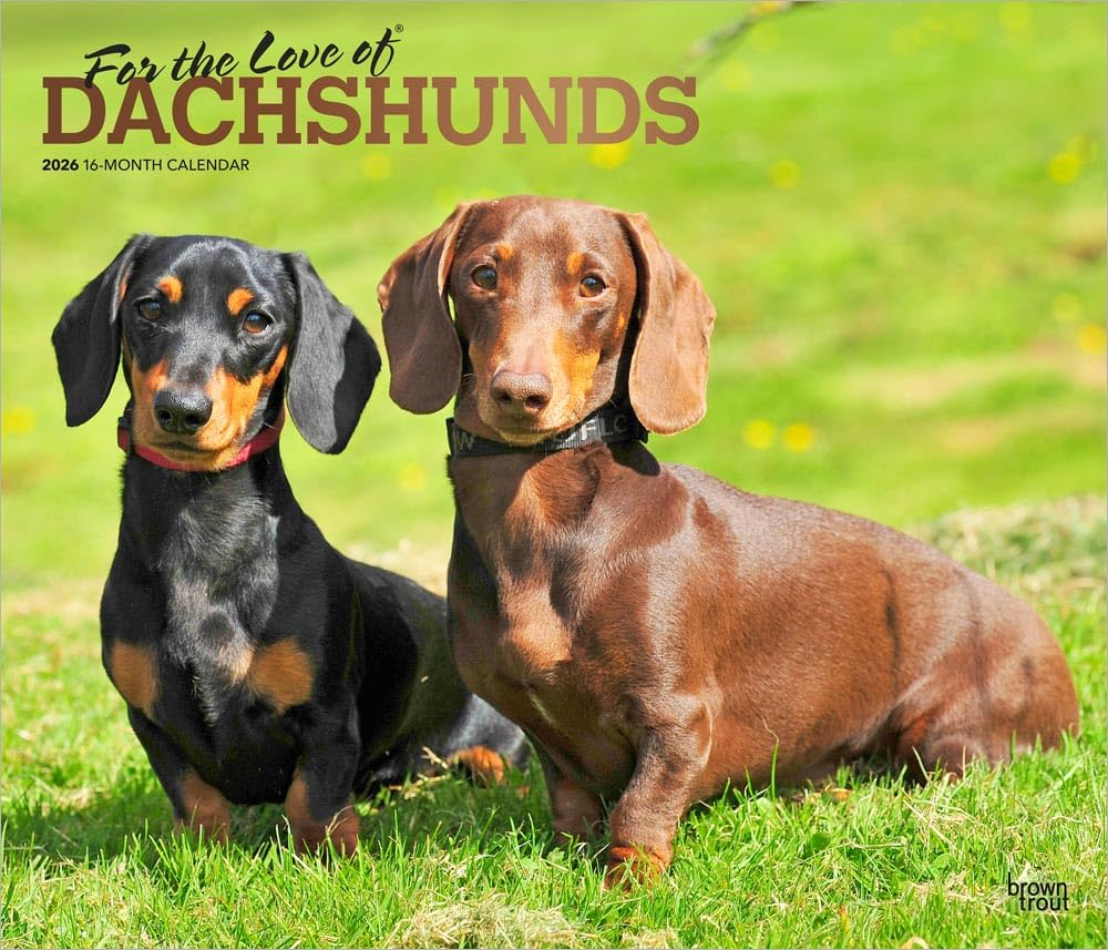 For the Love of Dachshunds | 2026 14 x 24 Inch (Hanging) Monthly Deluxe Wall Calendar | Foil Stamped Cover | Plastic-Free | BrownTrout | Animal Dog Breeds Pets