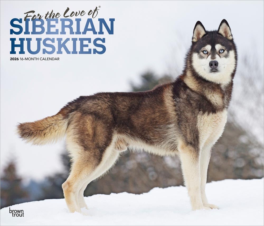 For the Love of Siberian Huskies | 2026 14 x 24 Inch (Hanging) Monthly Deluxe Wall Calendar | Foil Stamped Cover | Plastic-Free | BrownTrout | Animal Dog Breeds Husky Pets