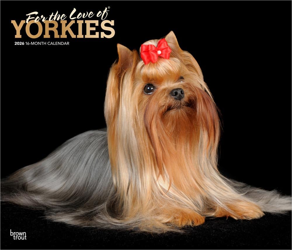For the Love of Yorkshire Terriers | 2026 14 x 24 Inch (Hanging) Monthly Deluxe Wall Calendar | Foil Stamped Cover | Plastic-Free | BrownTrout | Animal Small Dog Breeds Pets