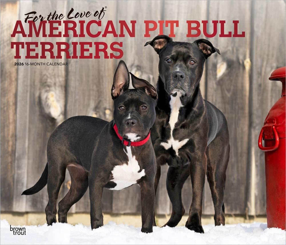 American Pit Bull Terriers | 2026 14 x 24 Inch (Hanging) Monthly Deluxe Wall Calendar | Plastic-Free | BrownTrout | Animals Dog Breeds Pets