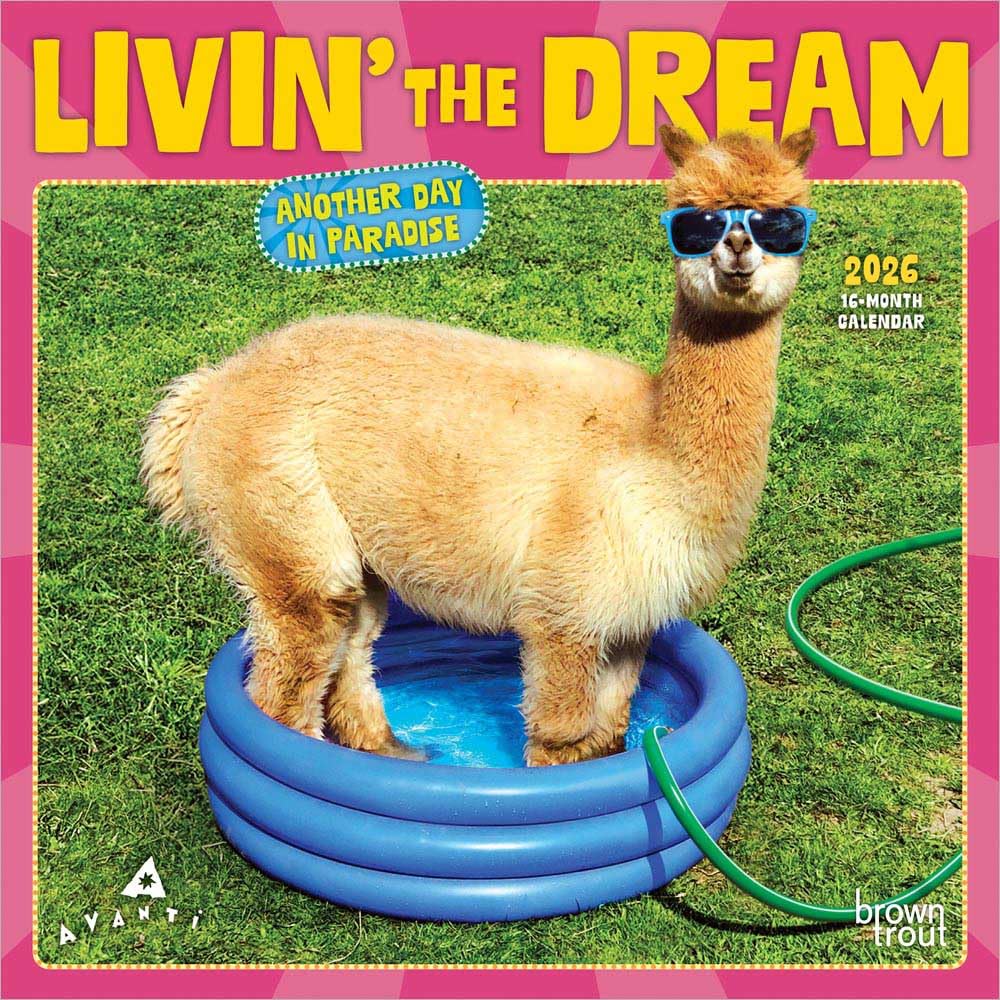 Avanti Livin' the Dream OFFICIAL | 2026 7 x 14 Inch (Hanging) Monthly Mini Wall Calendar | BrownTrout | Motivation Inspiration Funny Leisure, Home & Garden