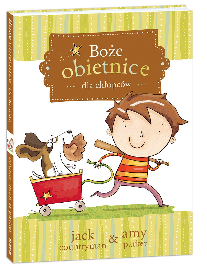 Boże obietnice dla chłopców book