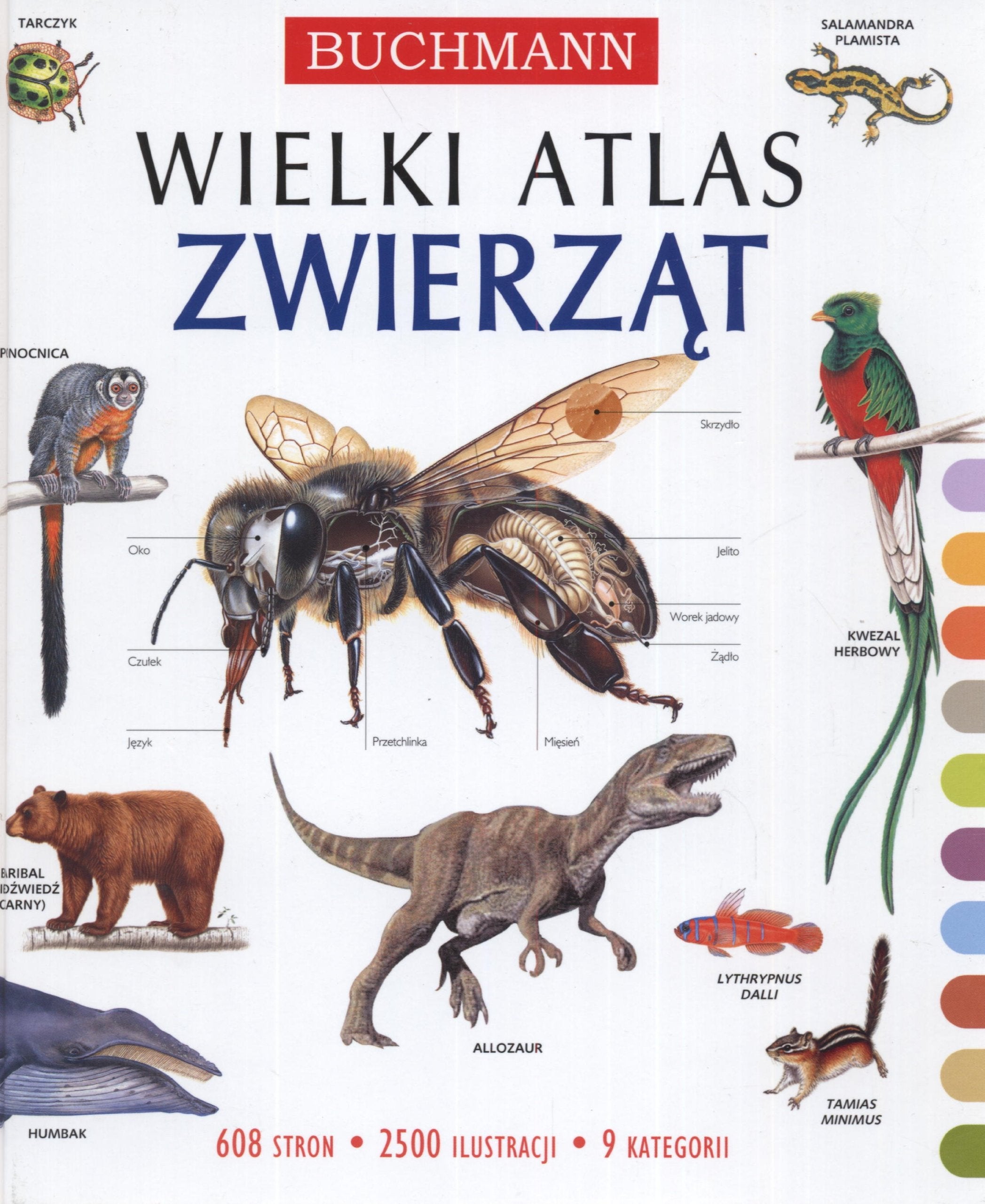 Wielki atlas zwierząt: 608 stron 2500 ilustracji 9 kategorii Books