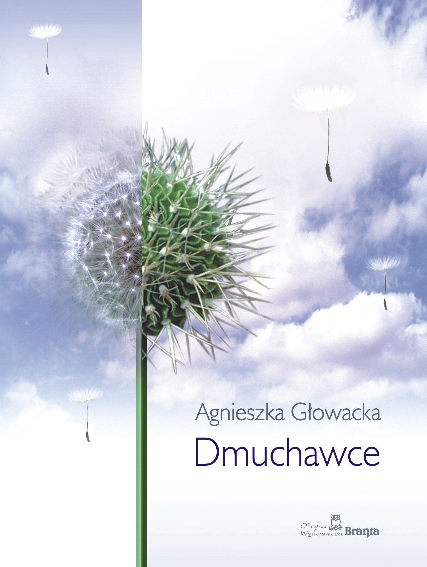 Product Image: Dmuchawce
