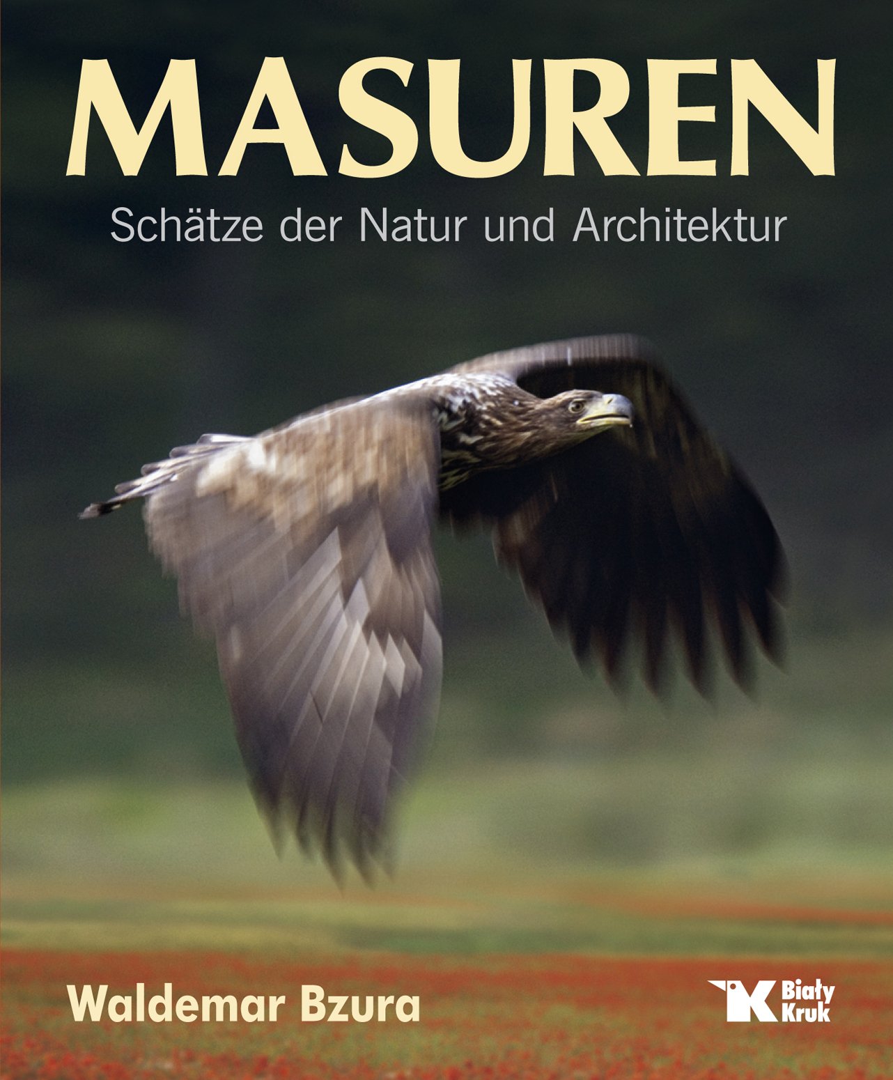 Masuren: Schatze der Natur und Architektur Books