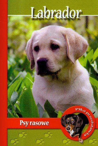 Pika przedstawia Labrador Psy Rasowe Books