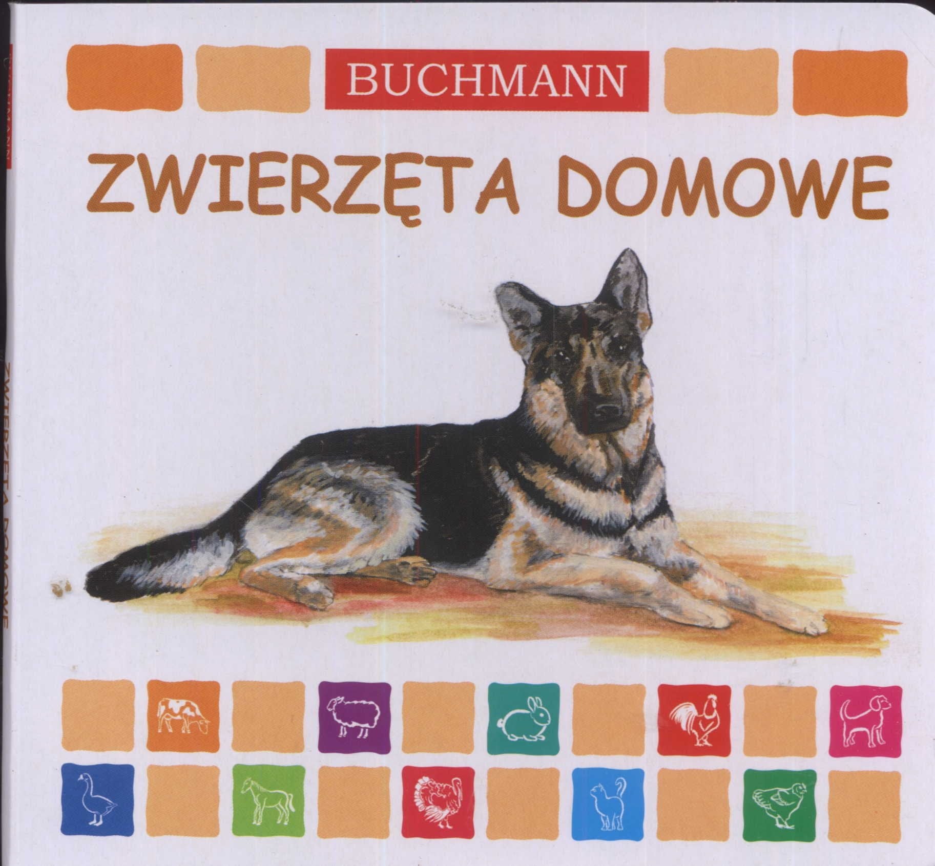 Zwierzęta domowe Books